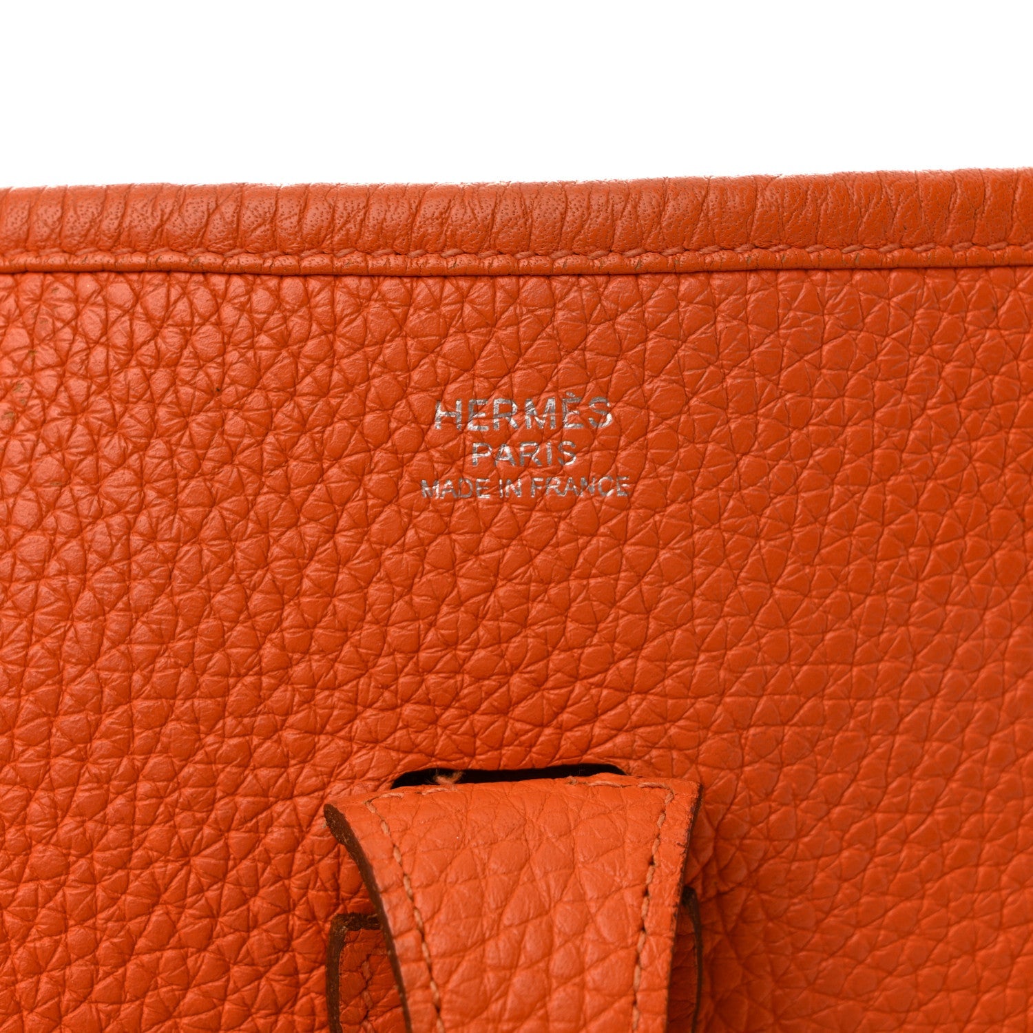 Taurillon Clemence EVELYNE III PM Orange
