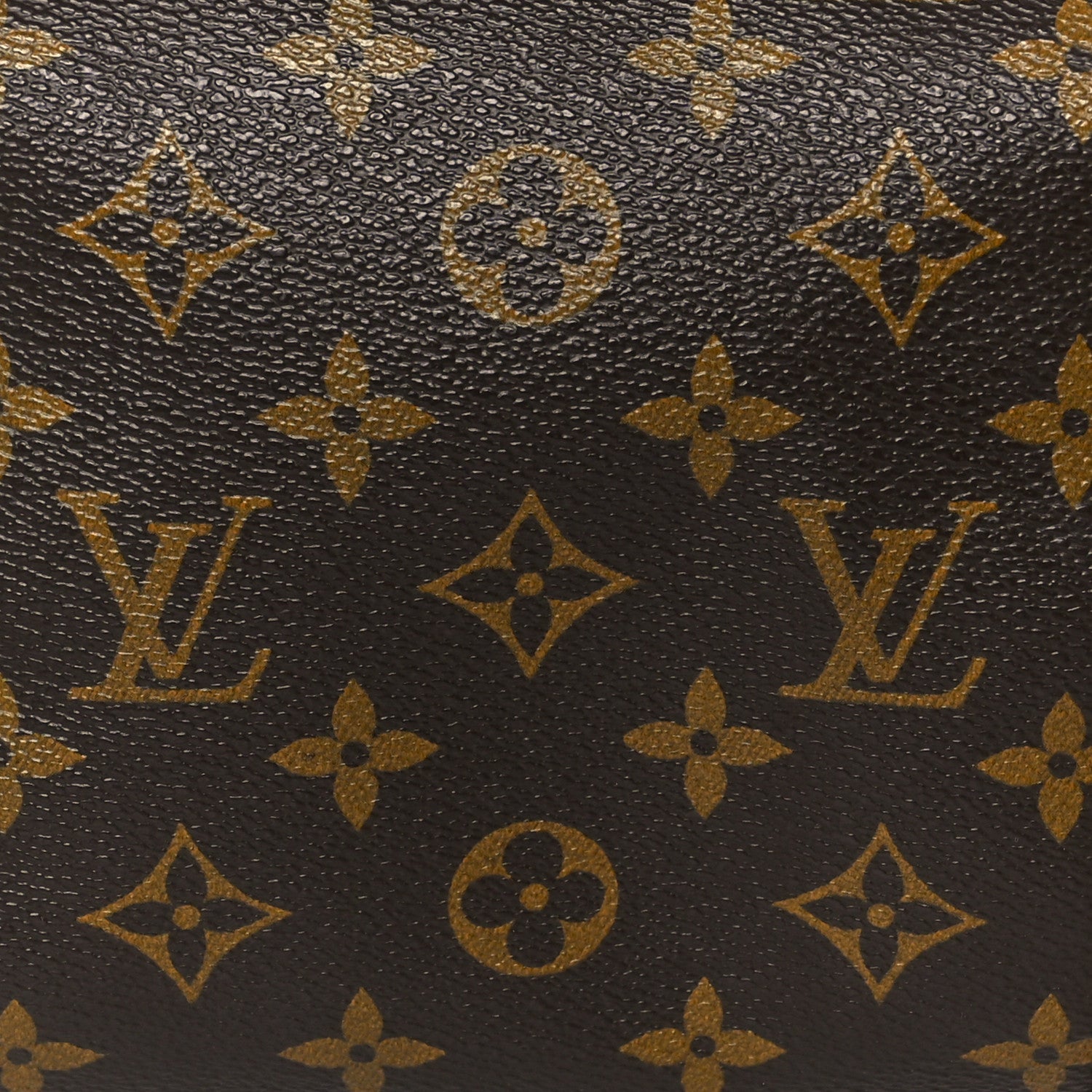 Monogram Papillon 30