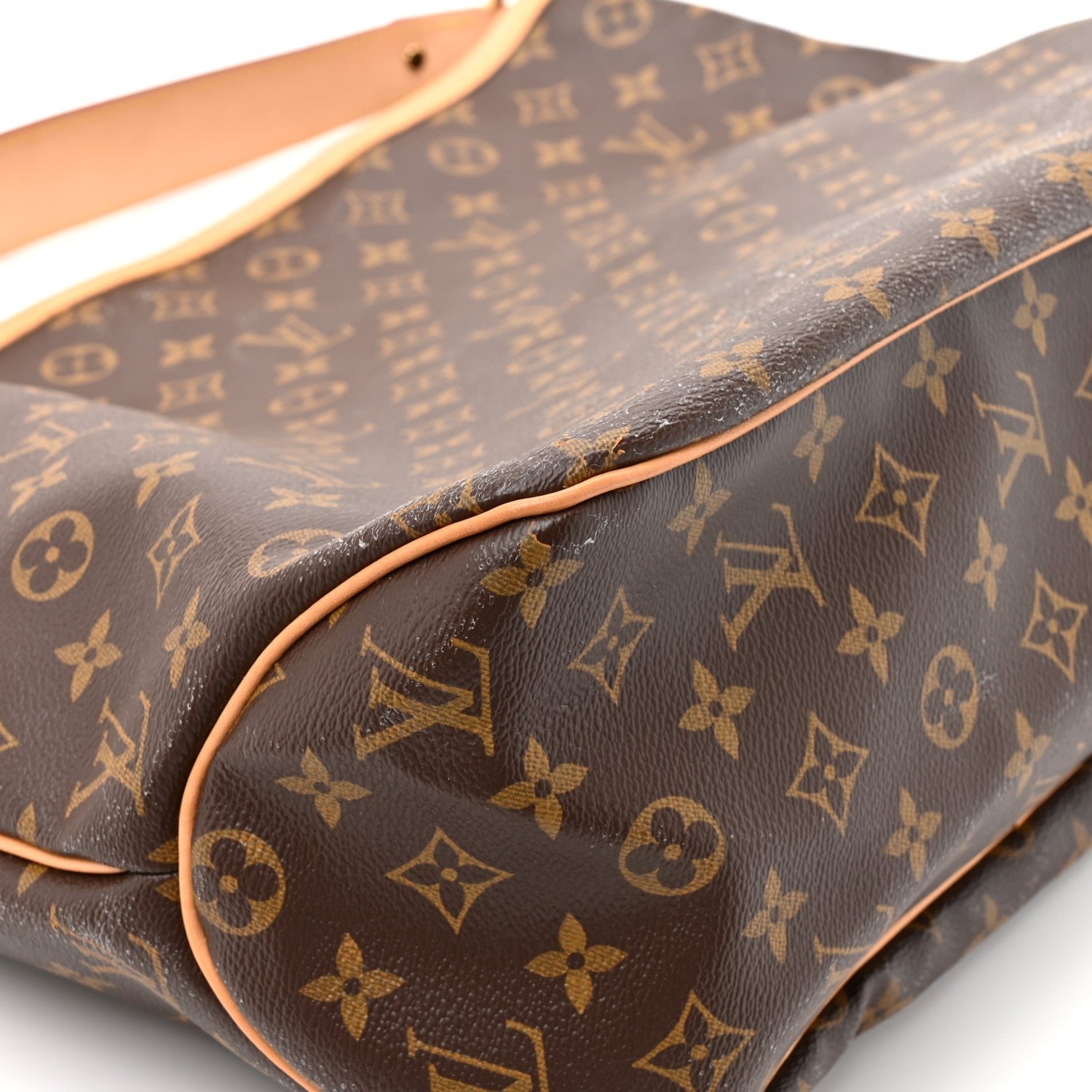Monogram Delightful MM