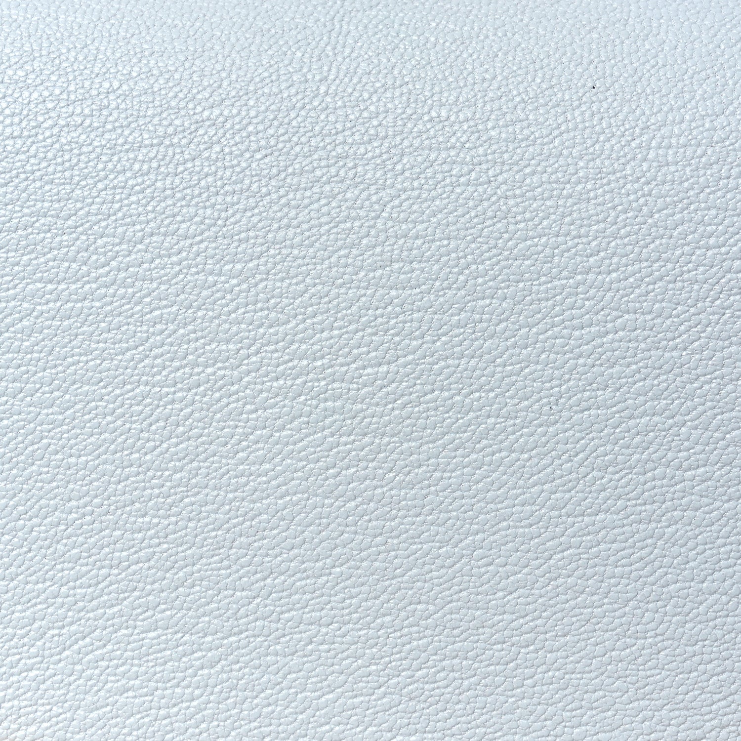 Chevre Mysore Verso Geta Bleu Brume Nata