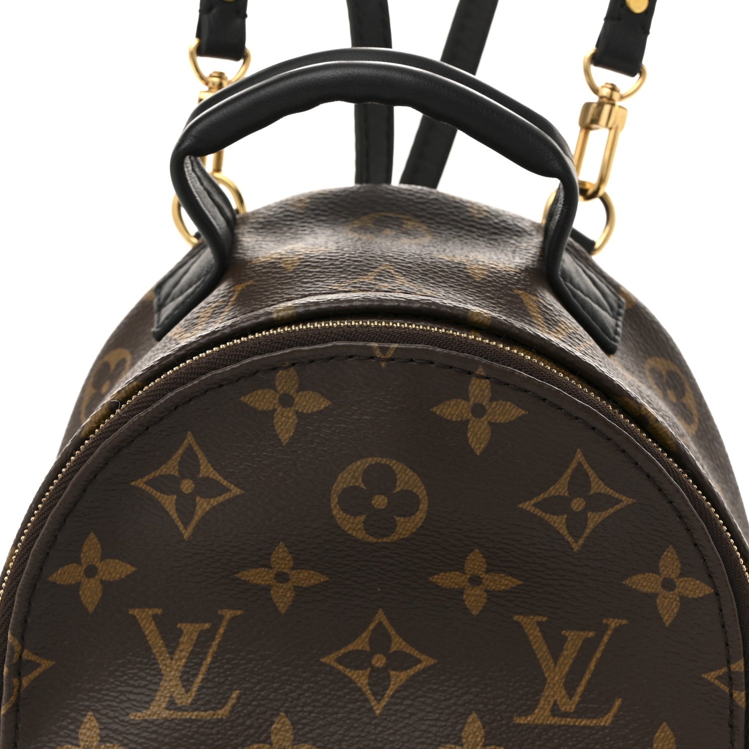 Monogram Palm Springs Backpack Mini