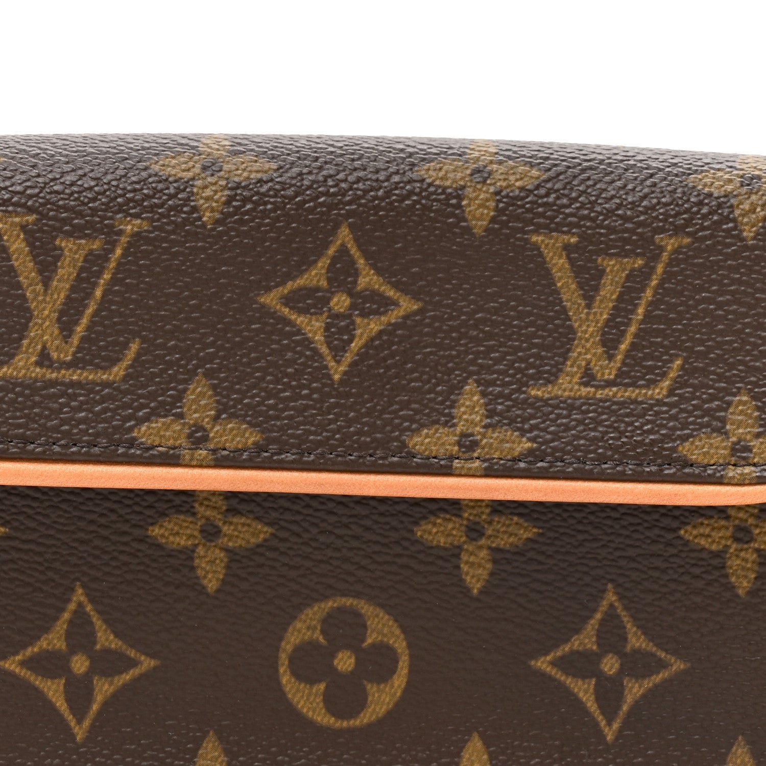 Monogram Pochette Florentine M