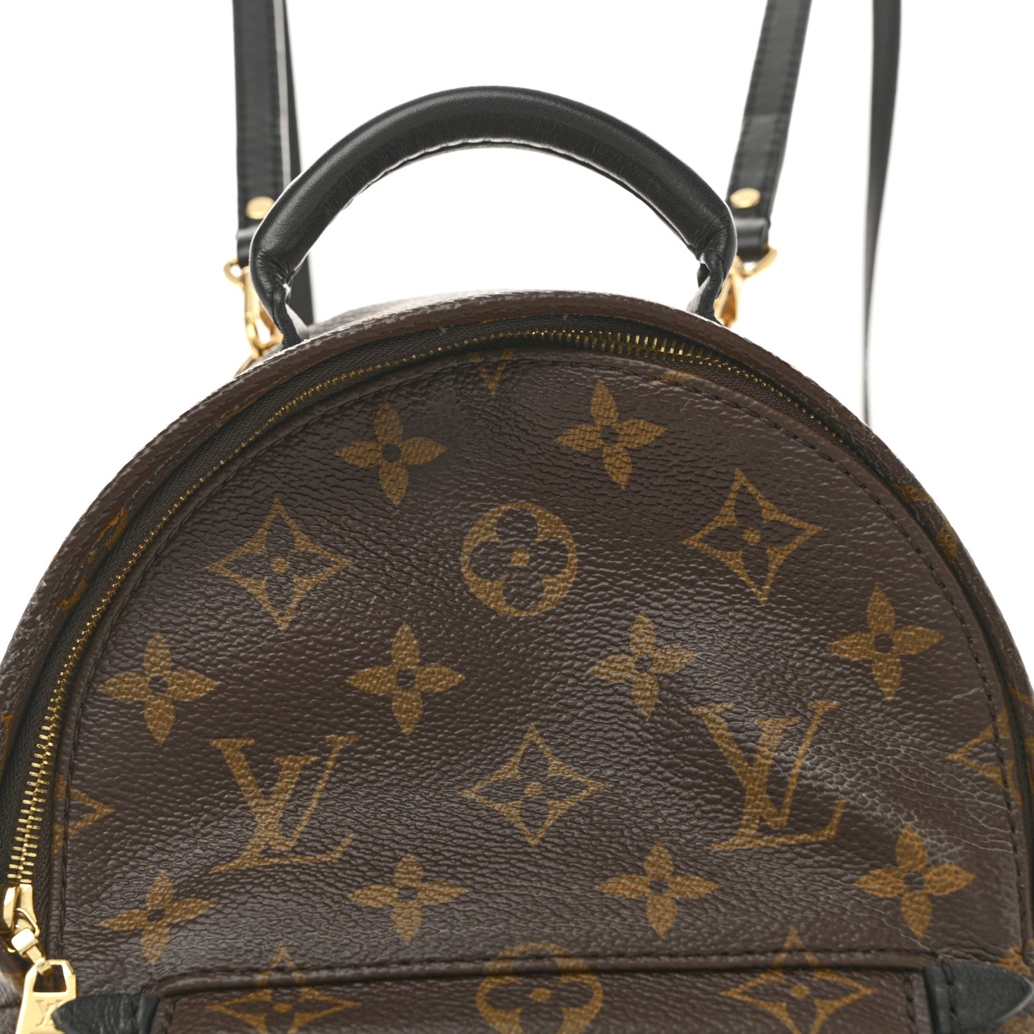 Monogram Palm Springs Backpack Mini