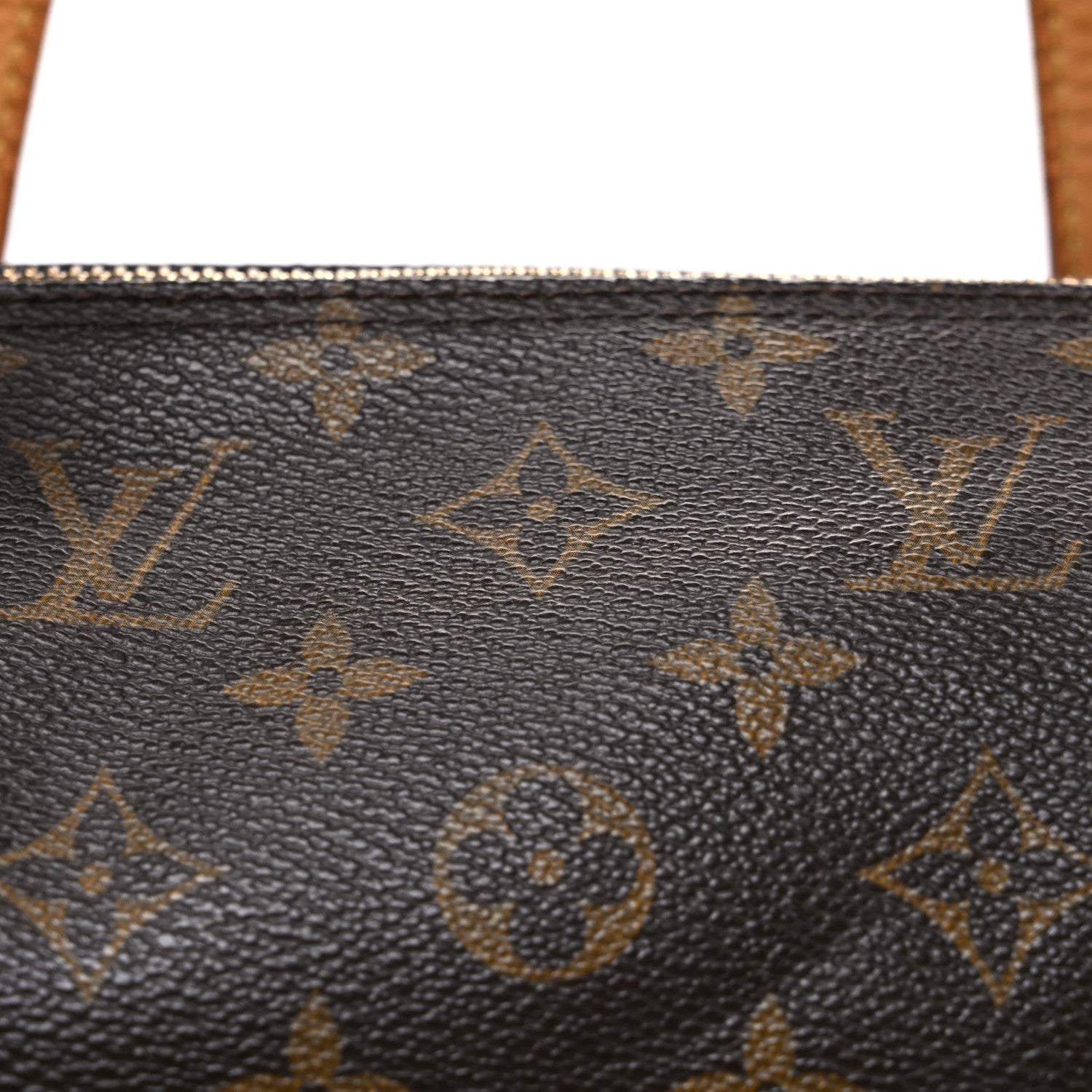 Monogram Papillon 30 with Companion