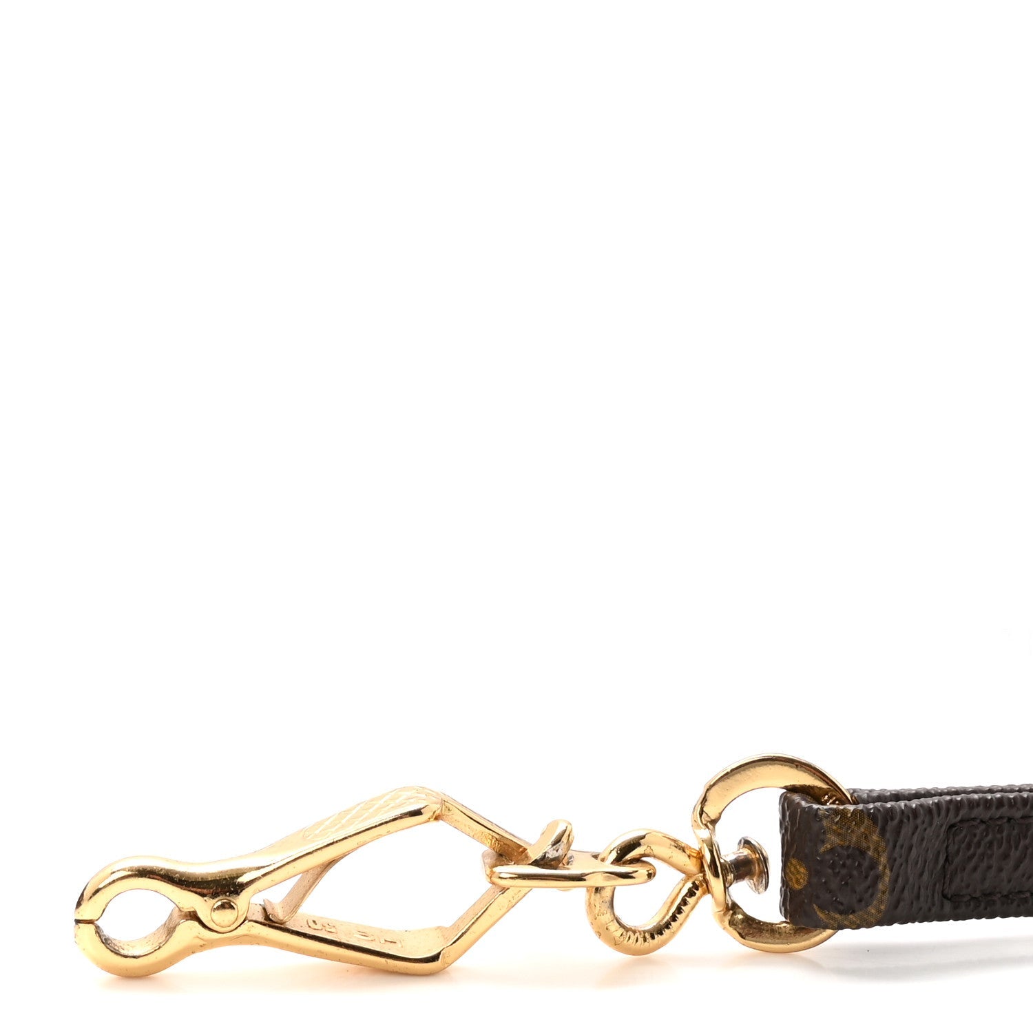 Monogram Baxter Dog Leash MM
