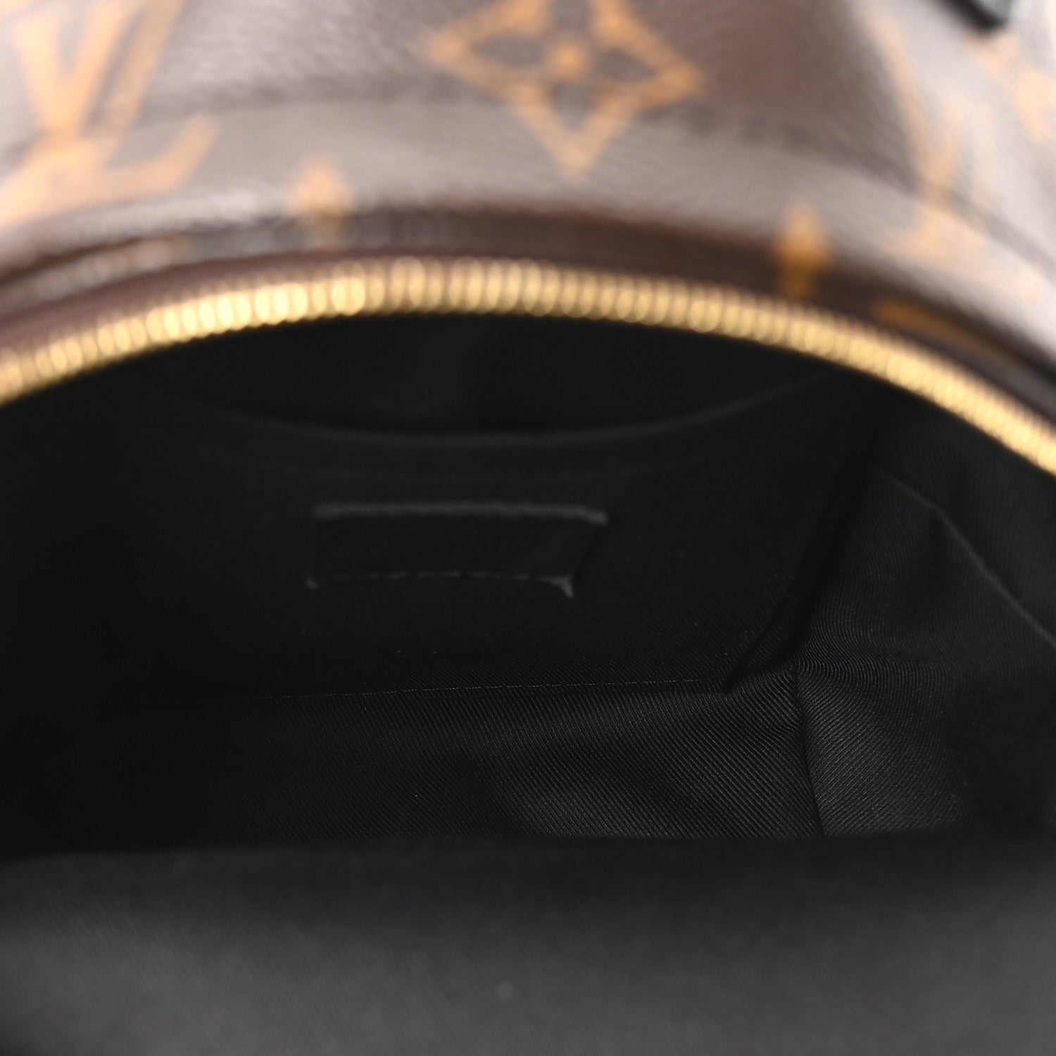 Monogram Palm Springs Backpack Mini