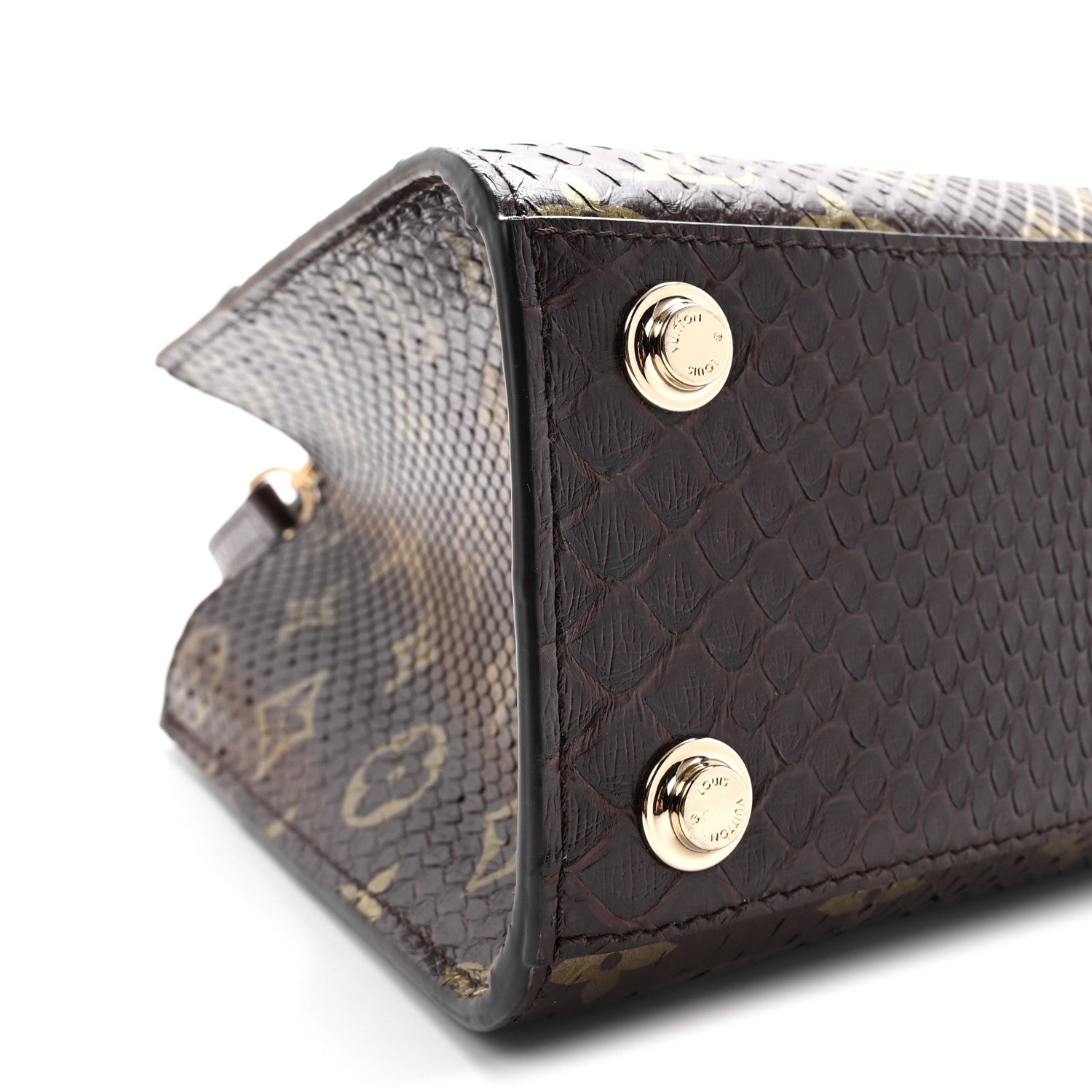 Snakeskin Monogram City Steamer Mini Brown