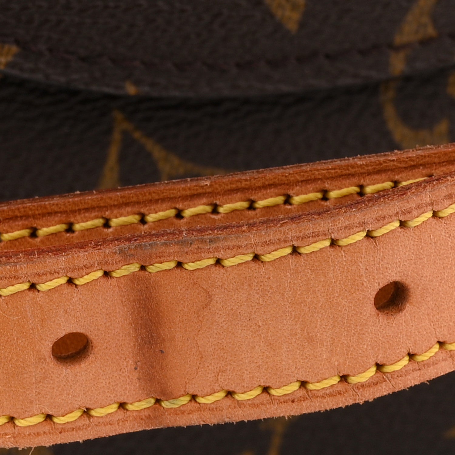 Monogram Saint Cloud GM
