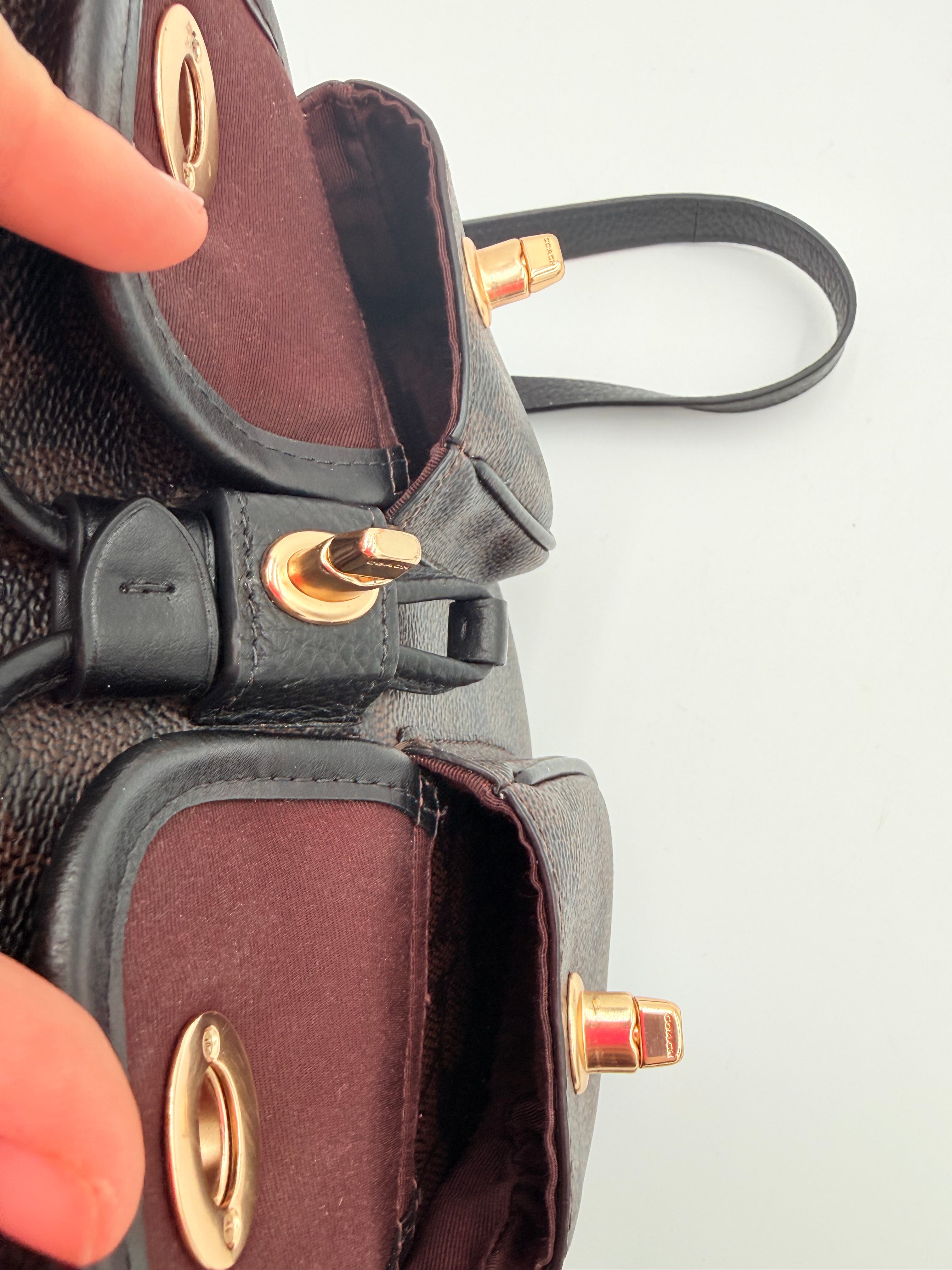 Backpack Designer By Coach, Size: Medium