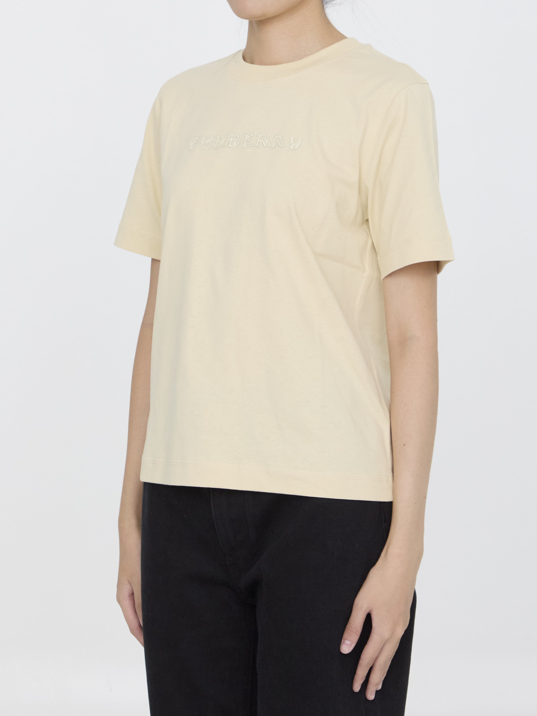 t-shirt with paisley logo