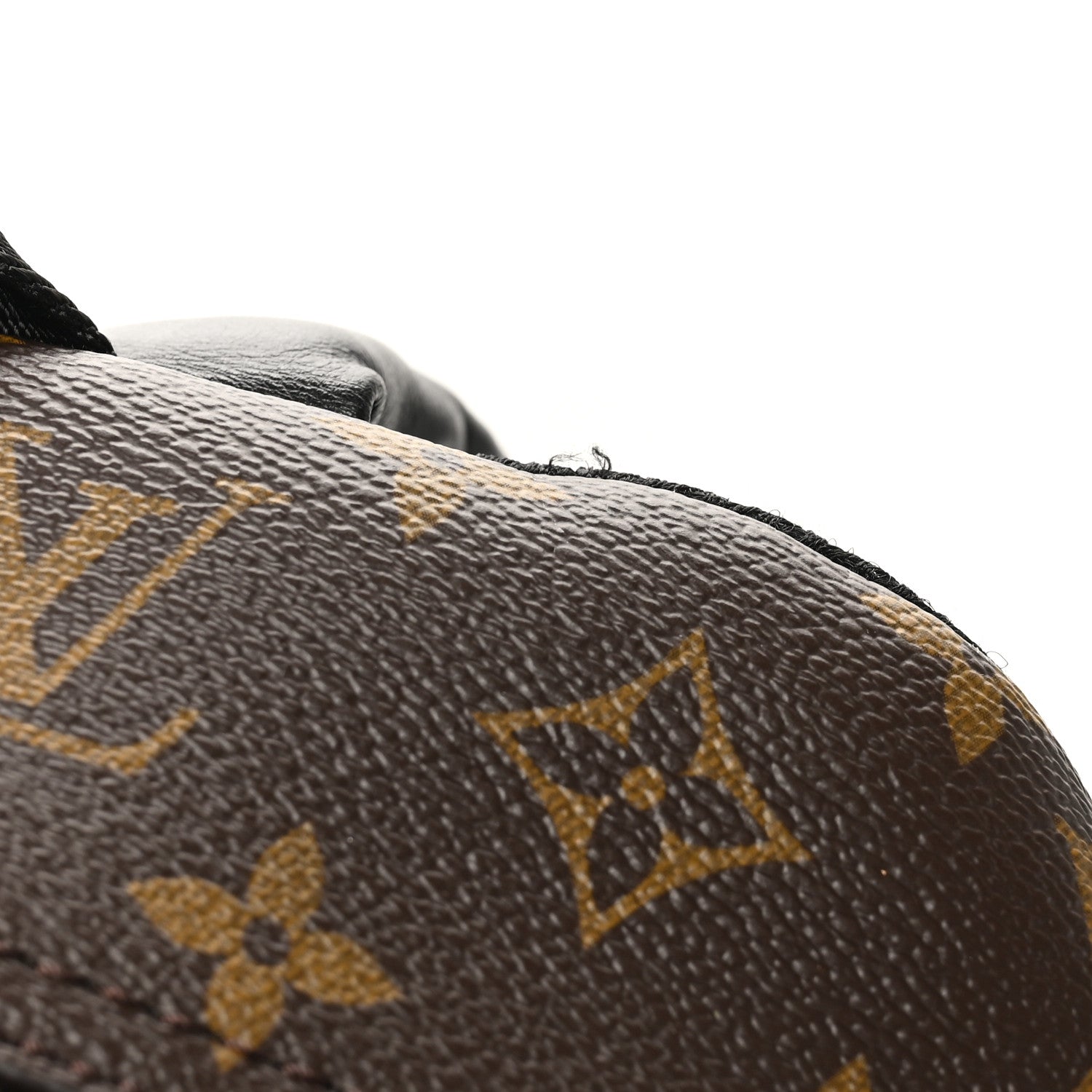 Monogram Macassar Dean Backpack