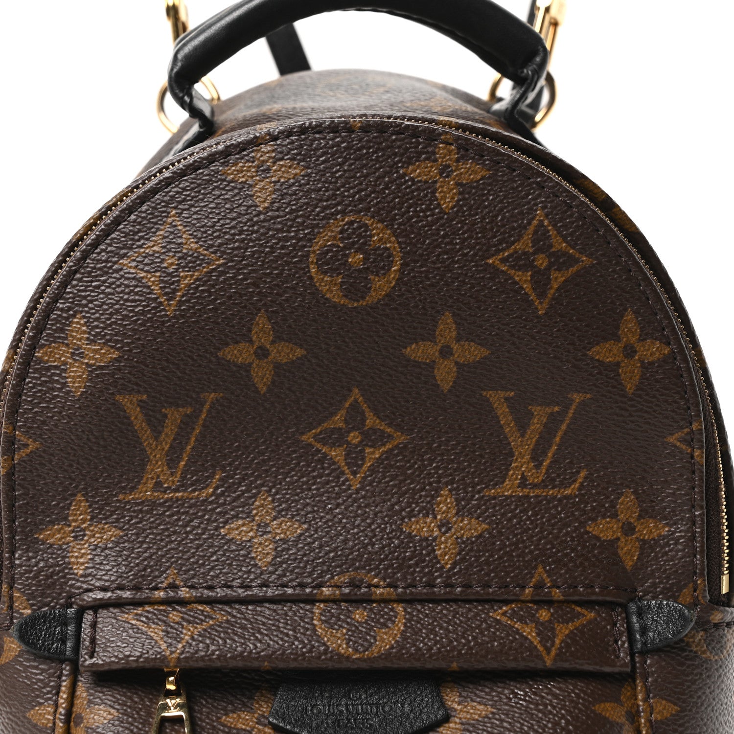Monogram Palm Springs Backpack Mini