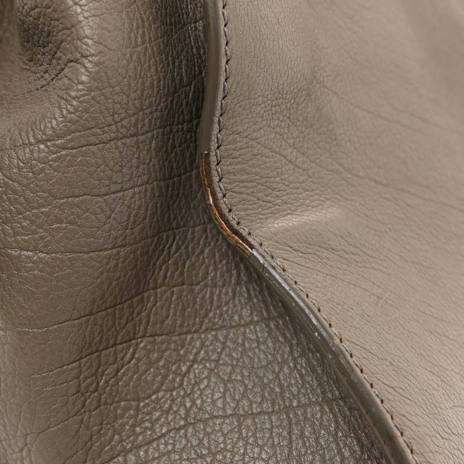 Calfskin Snakeskin Medium Cabas Chyc Beige