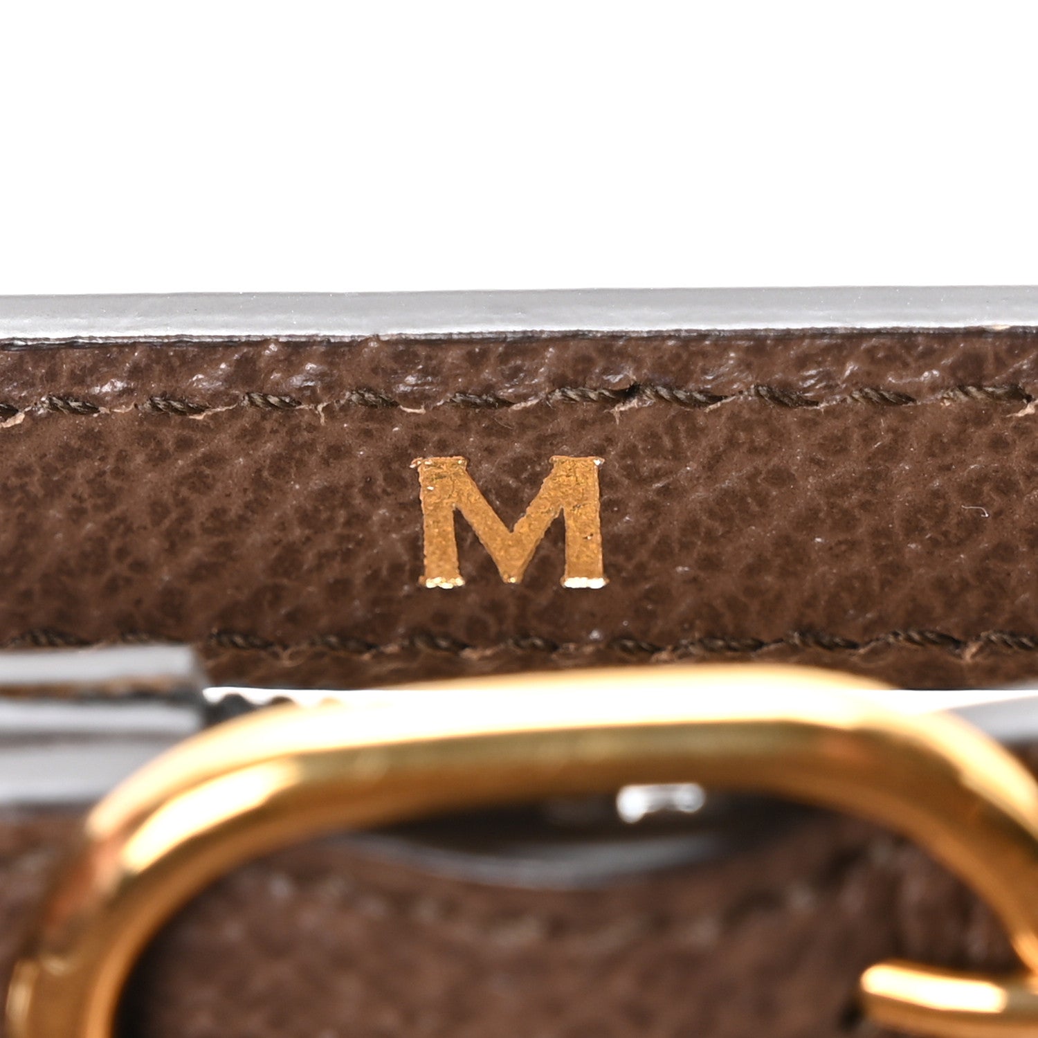 Monogram Jumbo GG Textured Dollar Calfskin Mini Diana Tote Bag Camel Ebony New Acero