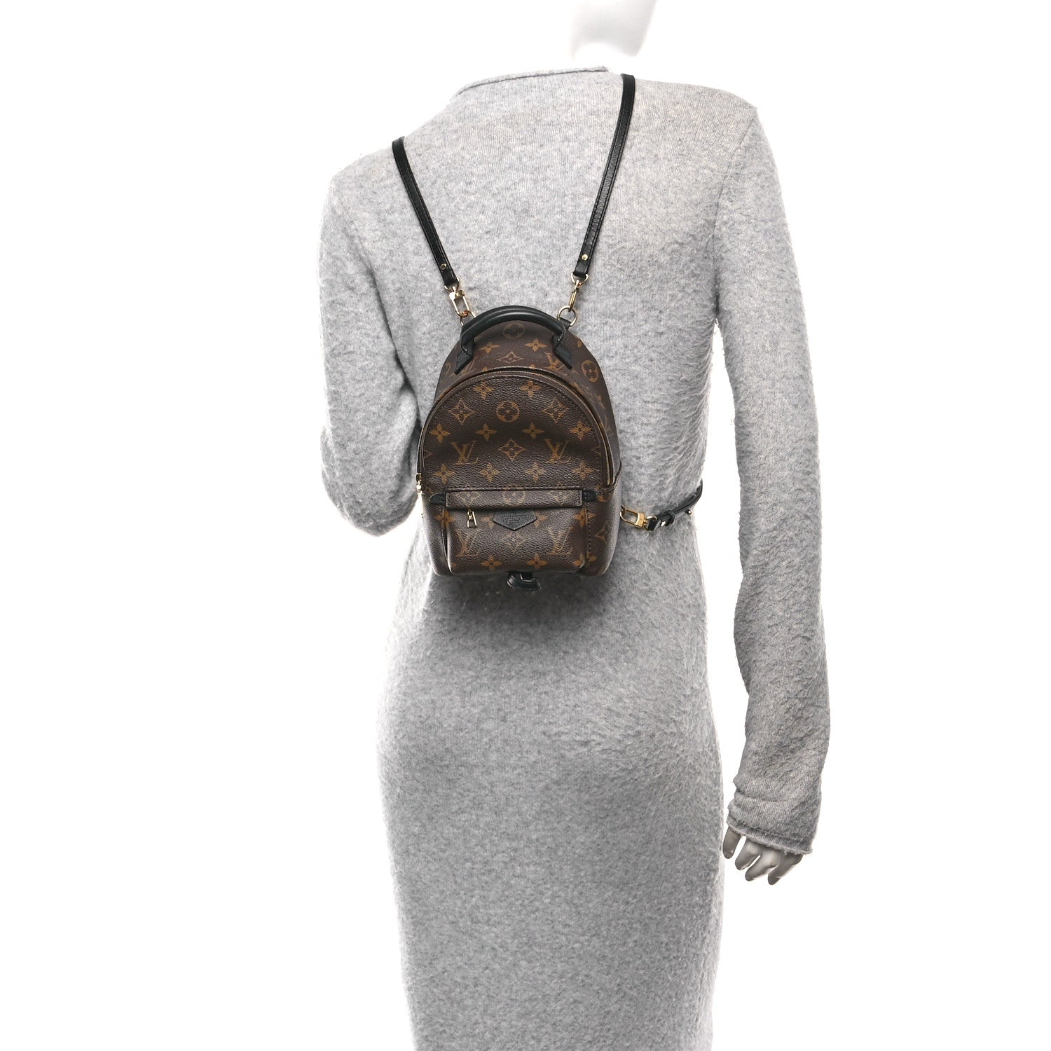 Monogram Palm Springs Backpack Mini