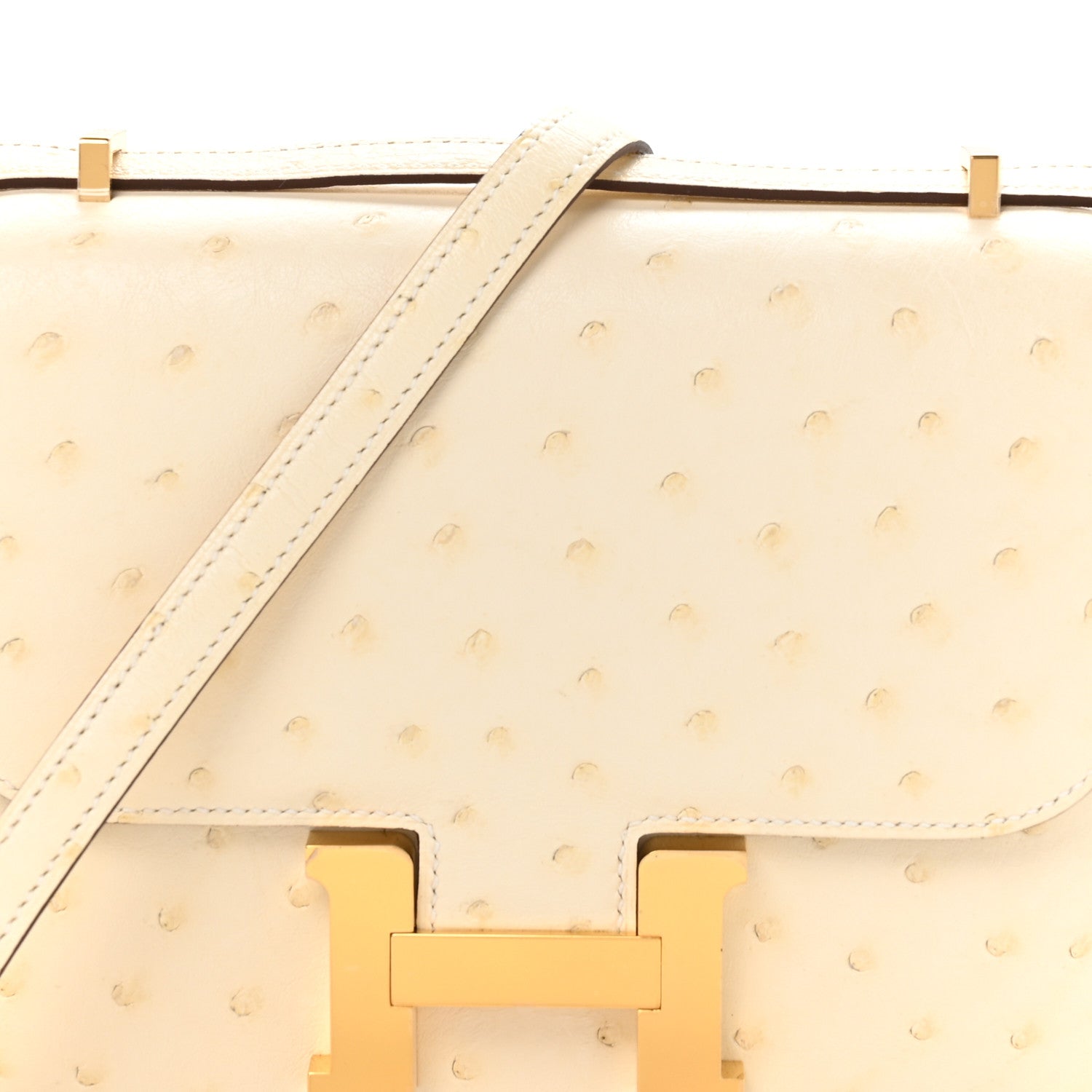 Ostrich Constance 18 Nata