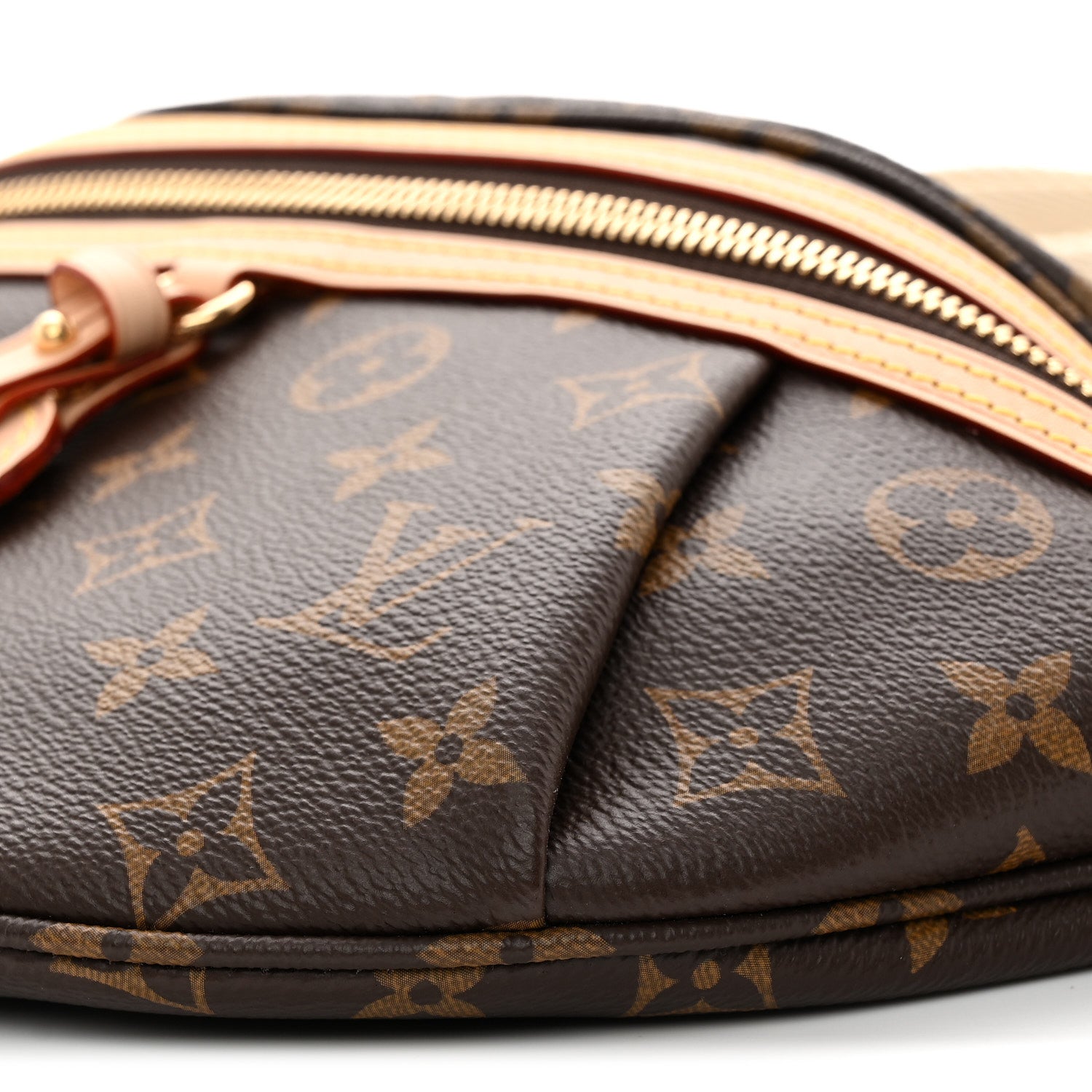 Monogram High Rise Bumbag