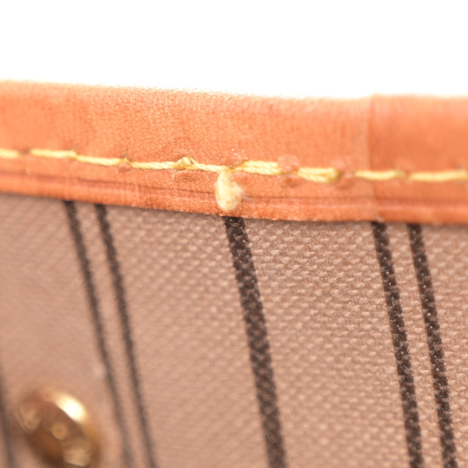 Monogram Neo Neverfull PM