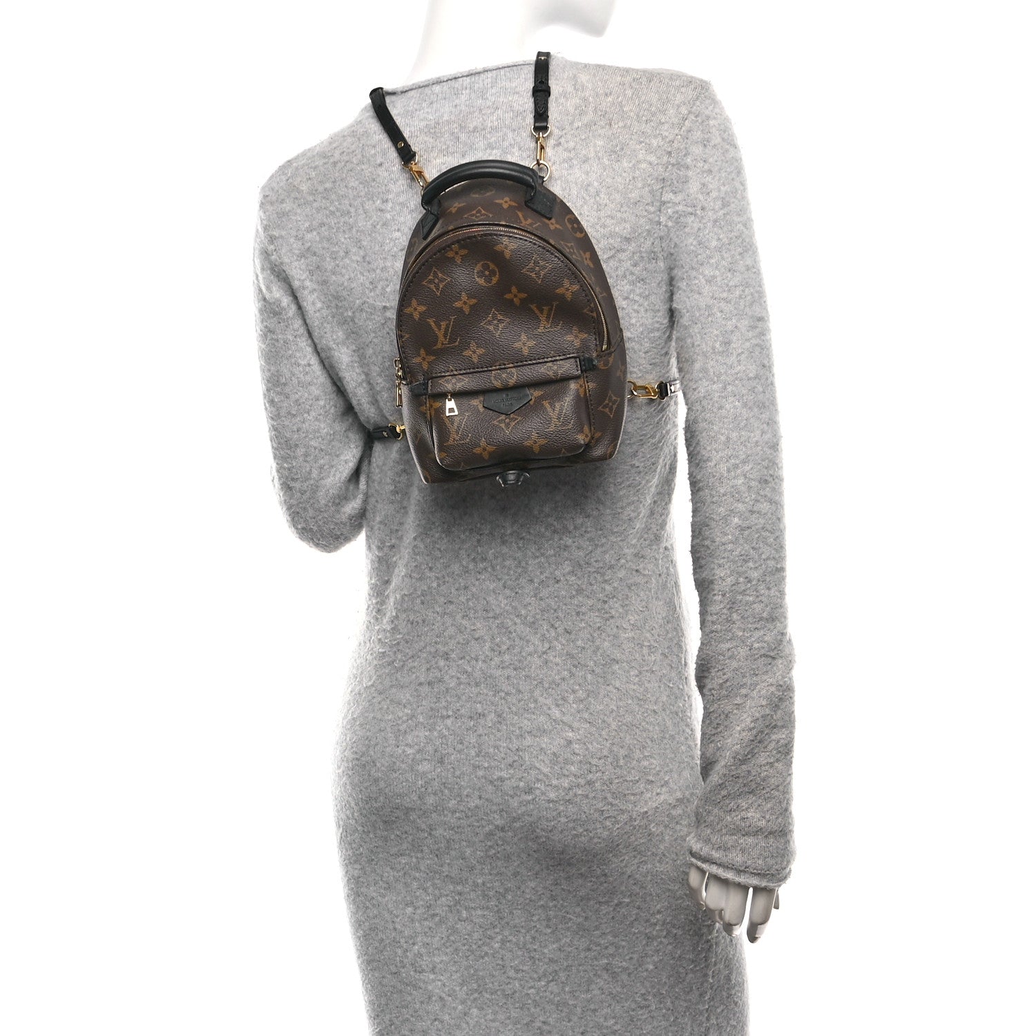 Monogram Palm Springs Backpack Mini