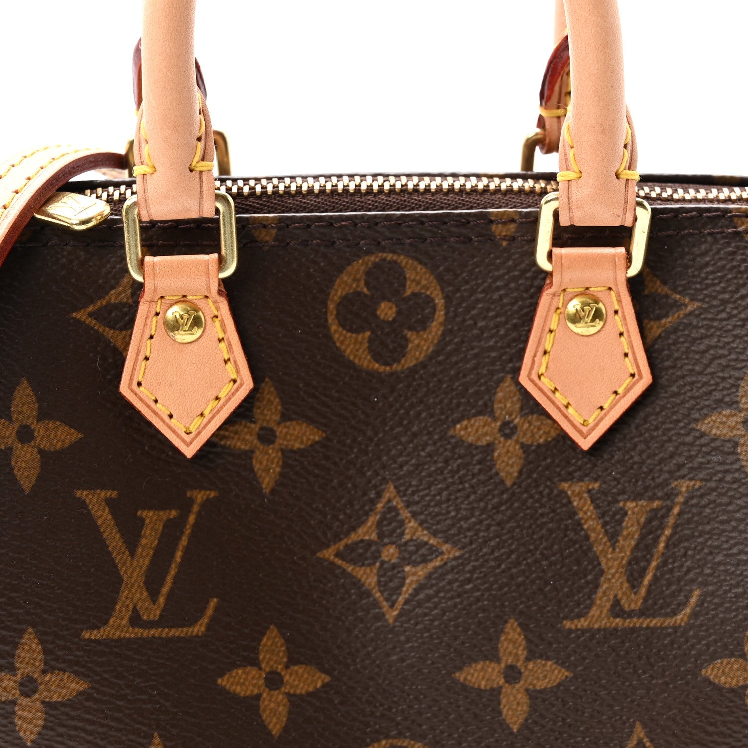 Monogram Nano Speedy