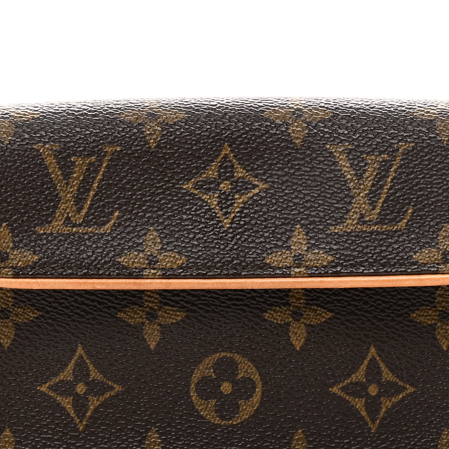 Monogram Pochette Florentine XS