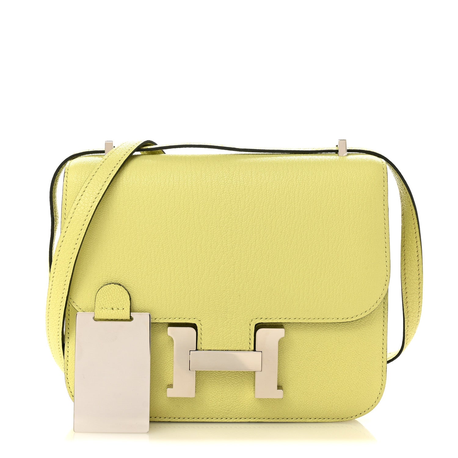 Chevre Mysore Constance 18 Jaune Bourgeon