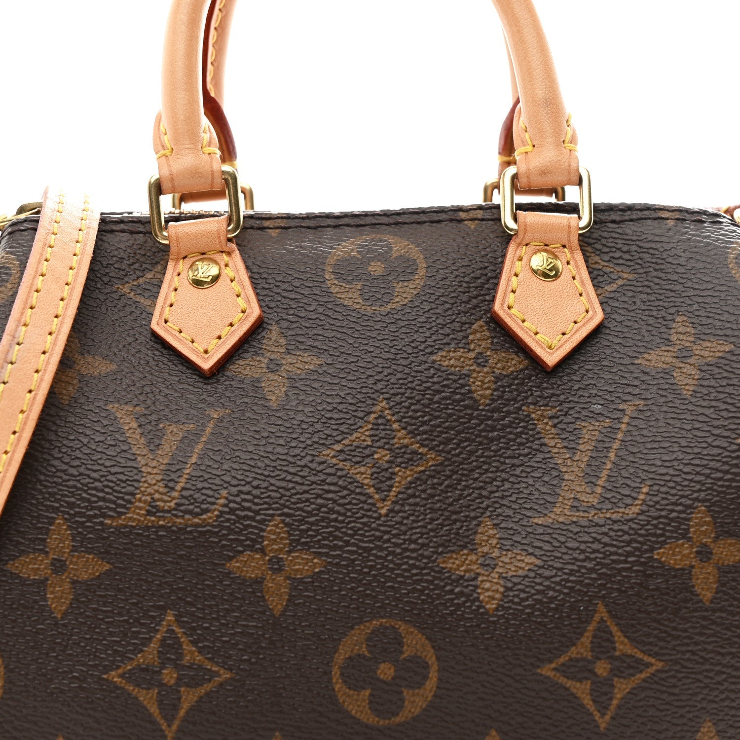 Monogram Nano Speedy