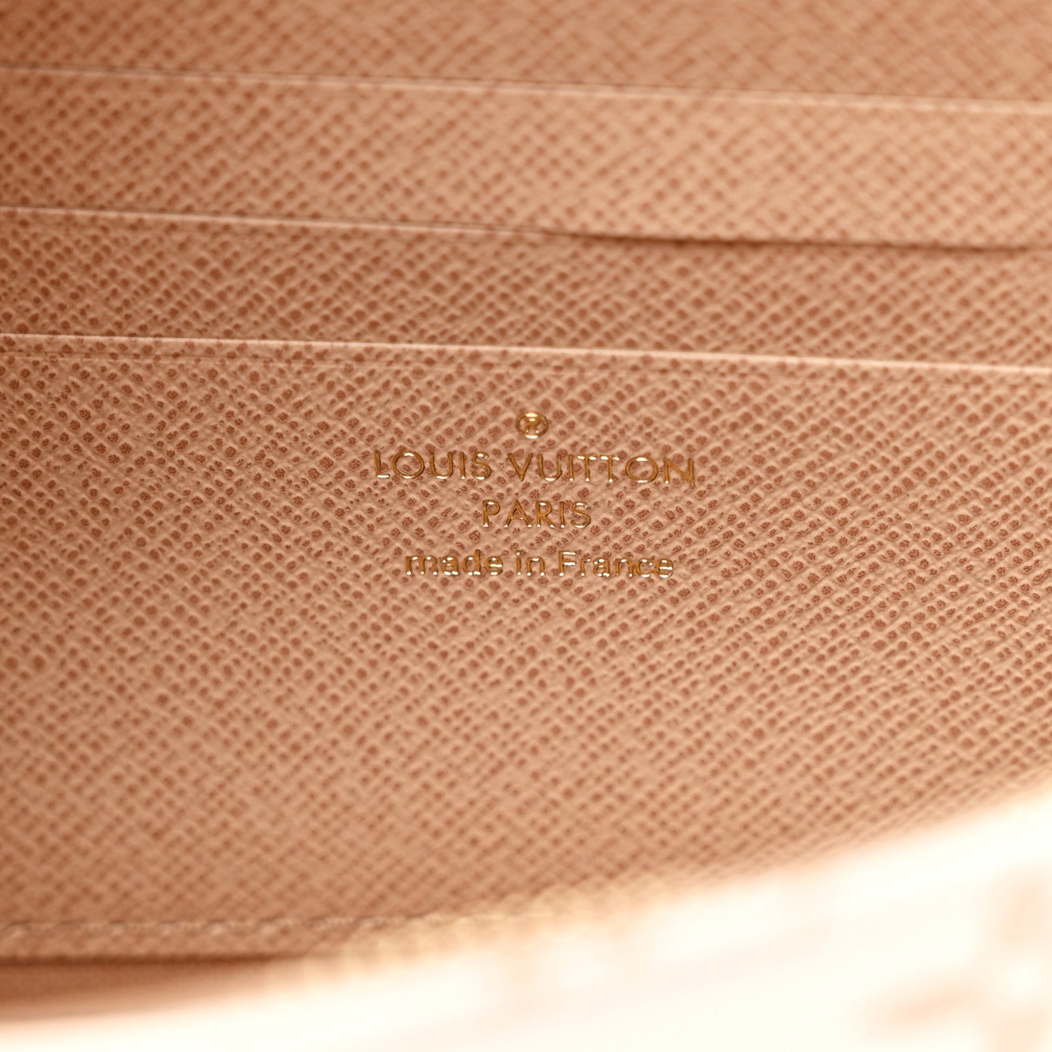 Monogram Dune Ivy Wallet On Chain