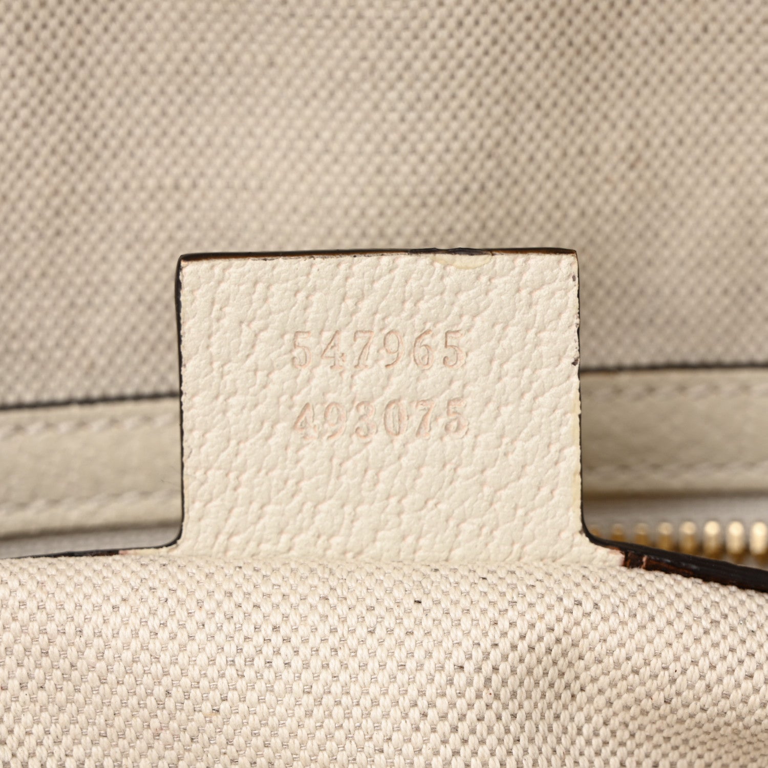GG Supreme Monogram Flora Web Small Ophidia Day Backpack White