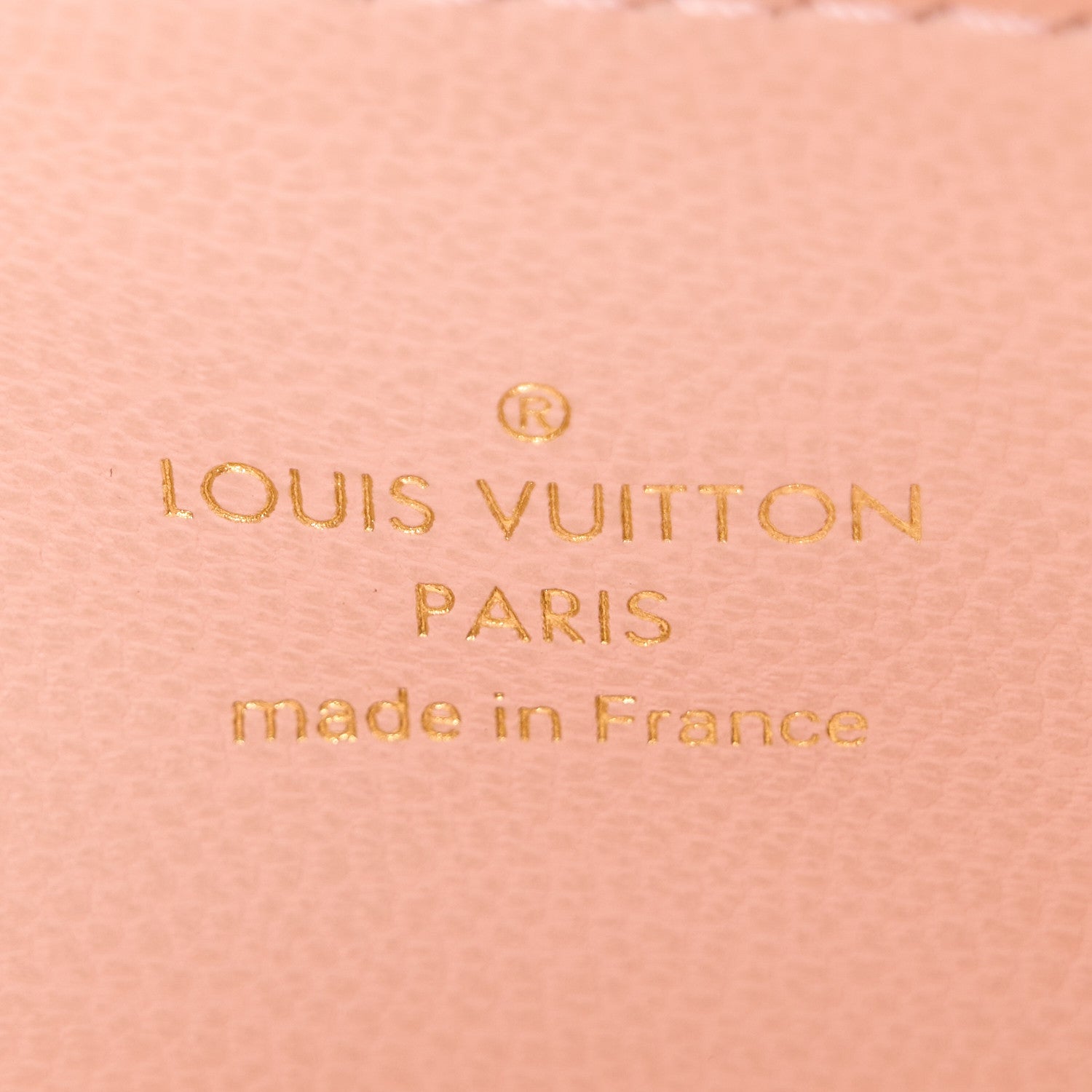 Lambskin Embossed Monogram LV Ski Coussin BB Black Rose