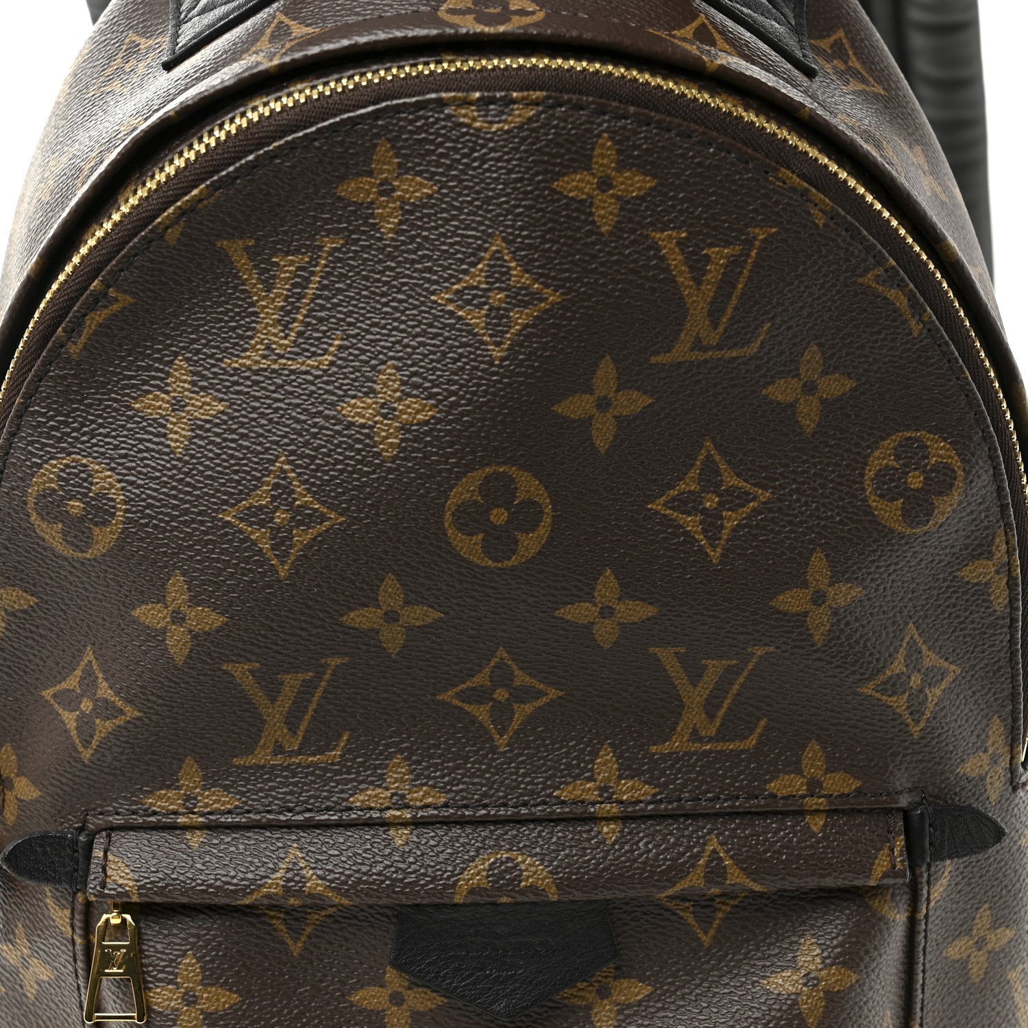 Monogram Palm Springs Backpack PM
