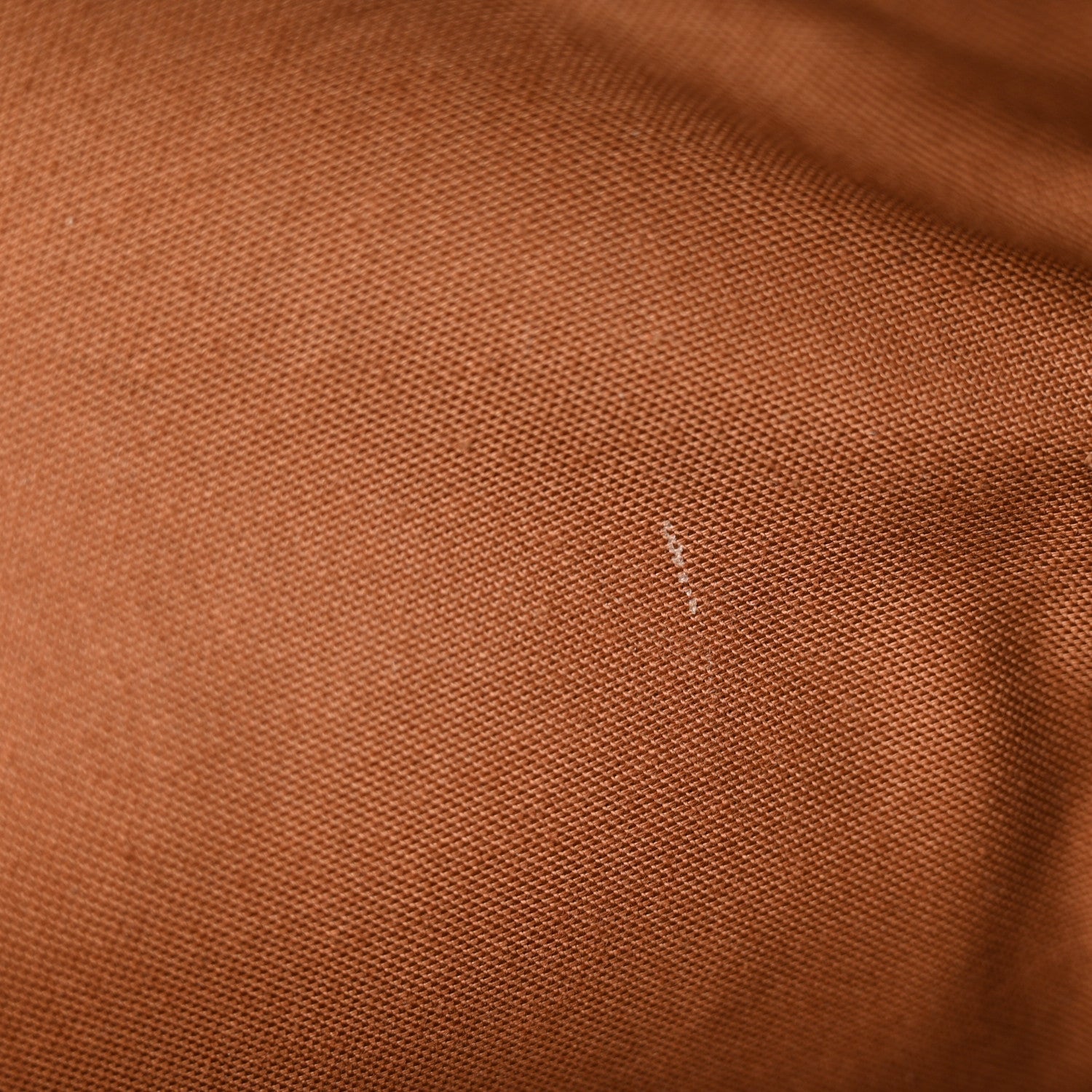 Monogram Cabas Mezzo