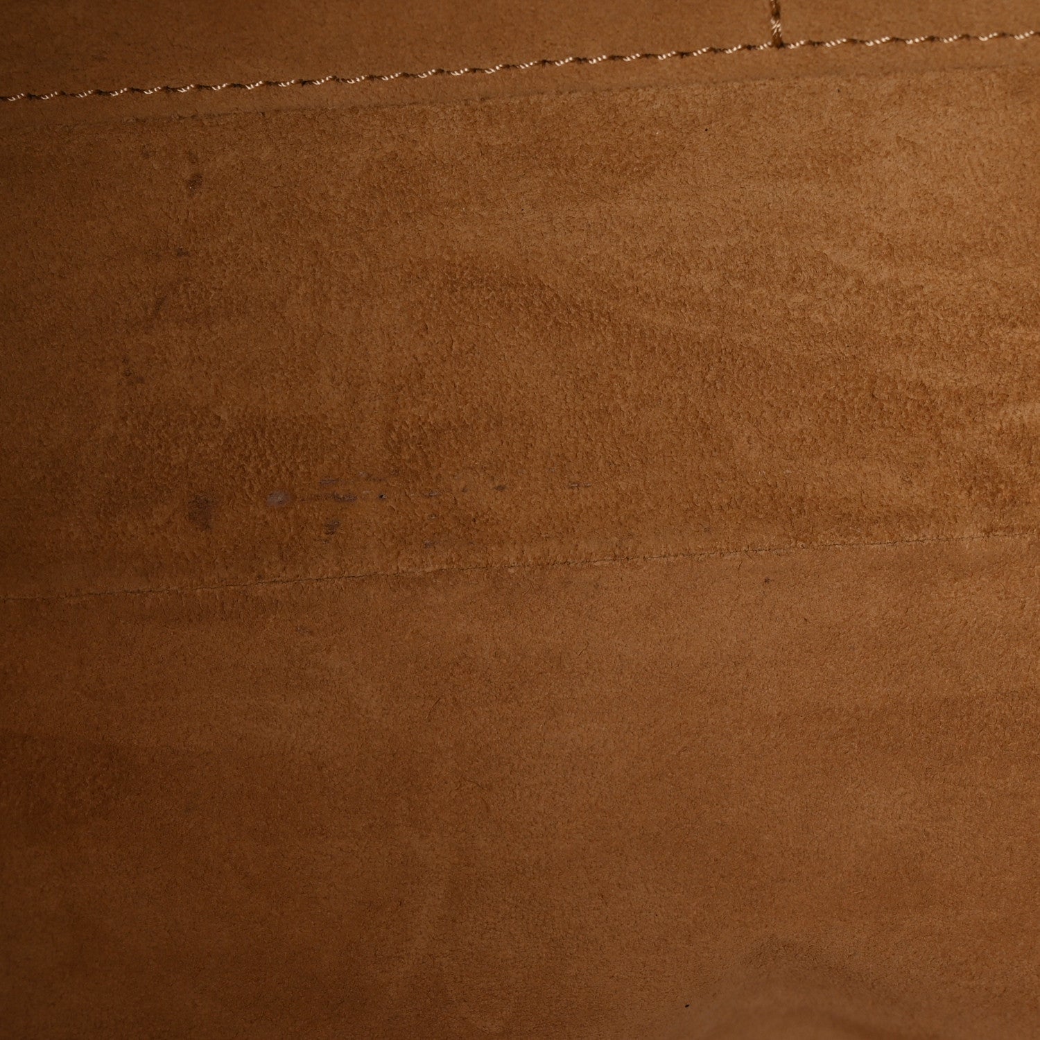 Suede Mahina CarryAll PM Beige