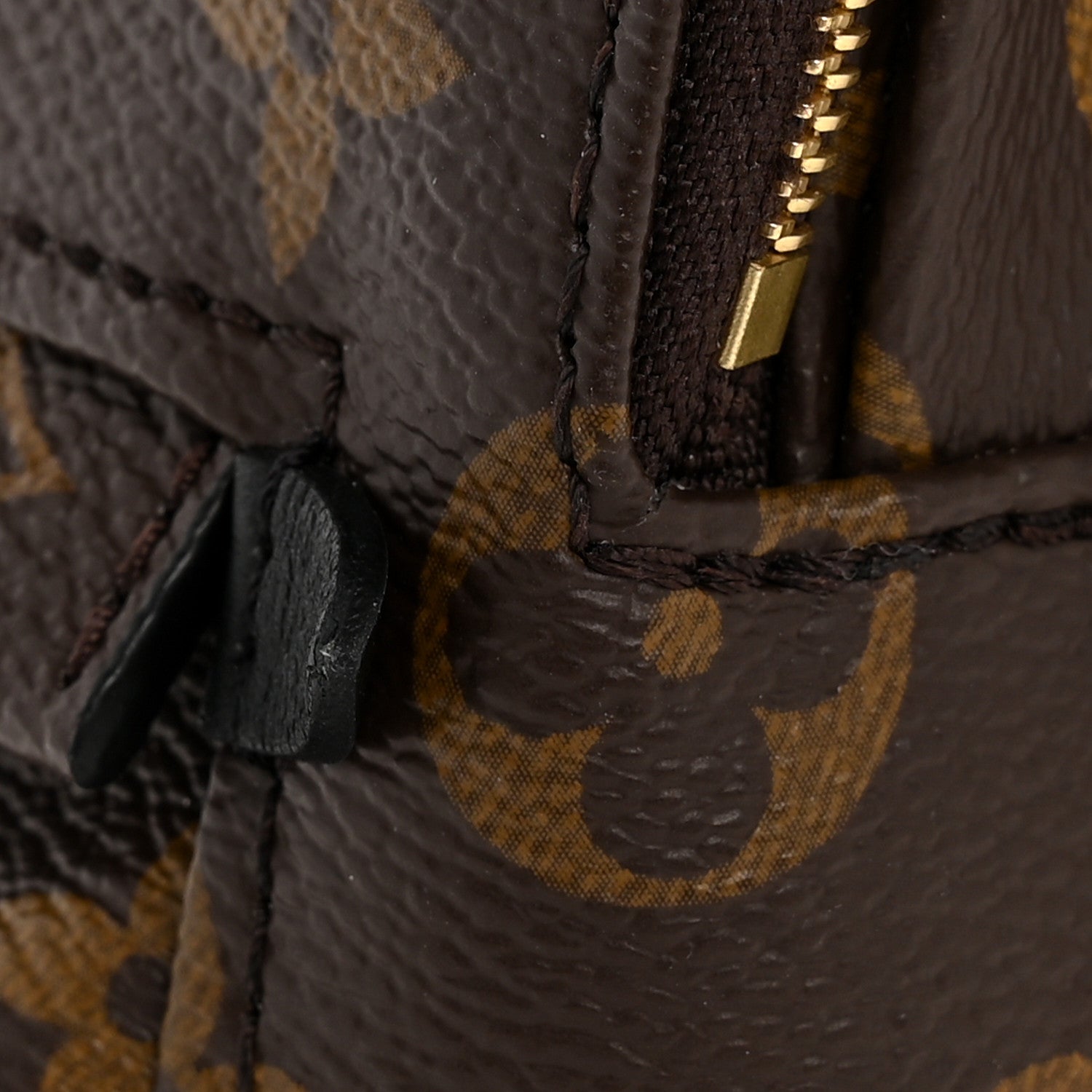Monogram Palm Springs Backpack Mini