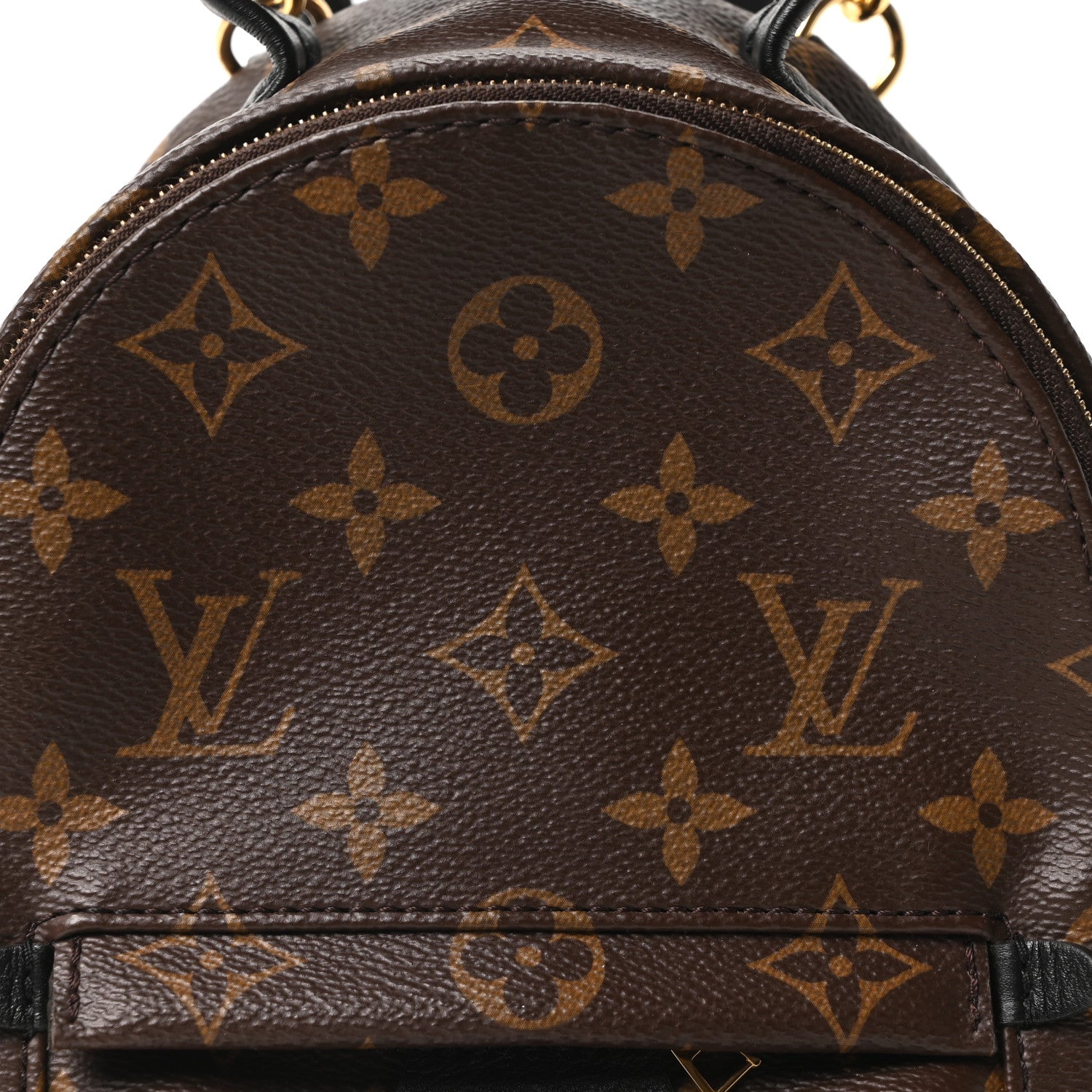 Monogram Palm Springs Backpack Mini
