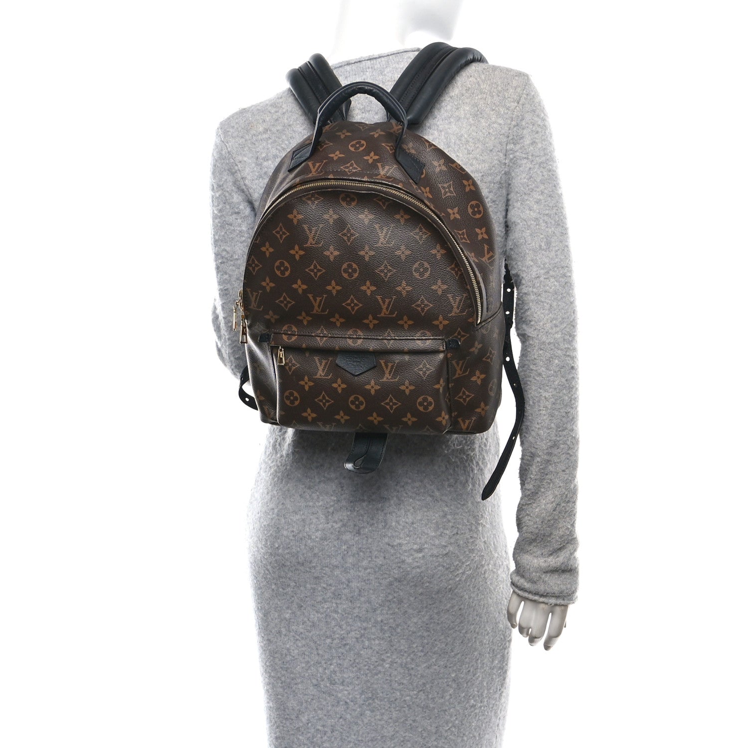 Monogram Palm Springs Backpack MM