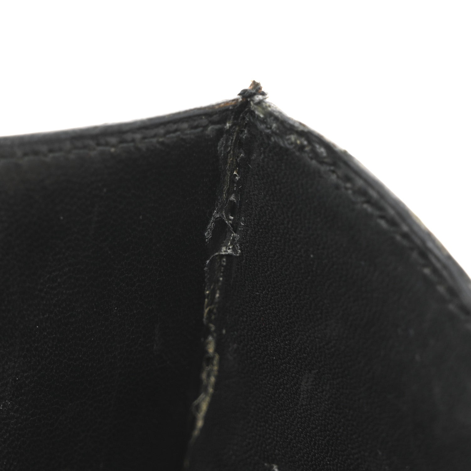 Shiny Caiman Crocodile Constance 23 Black