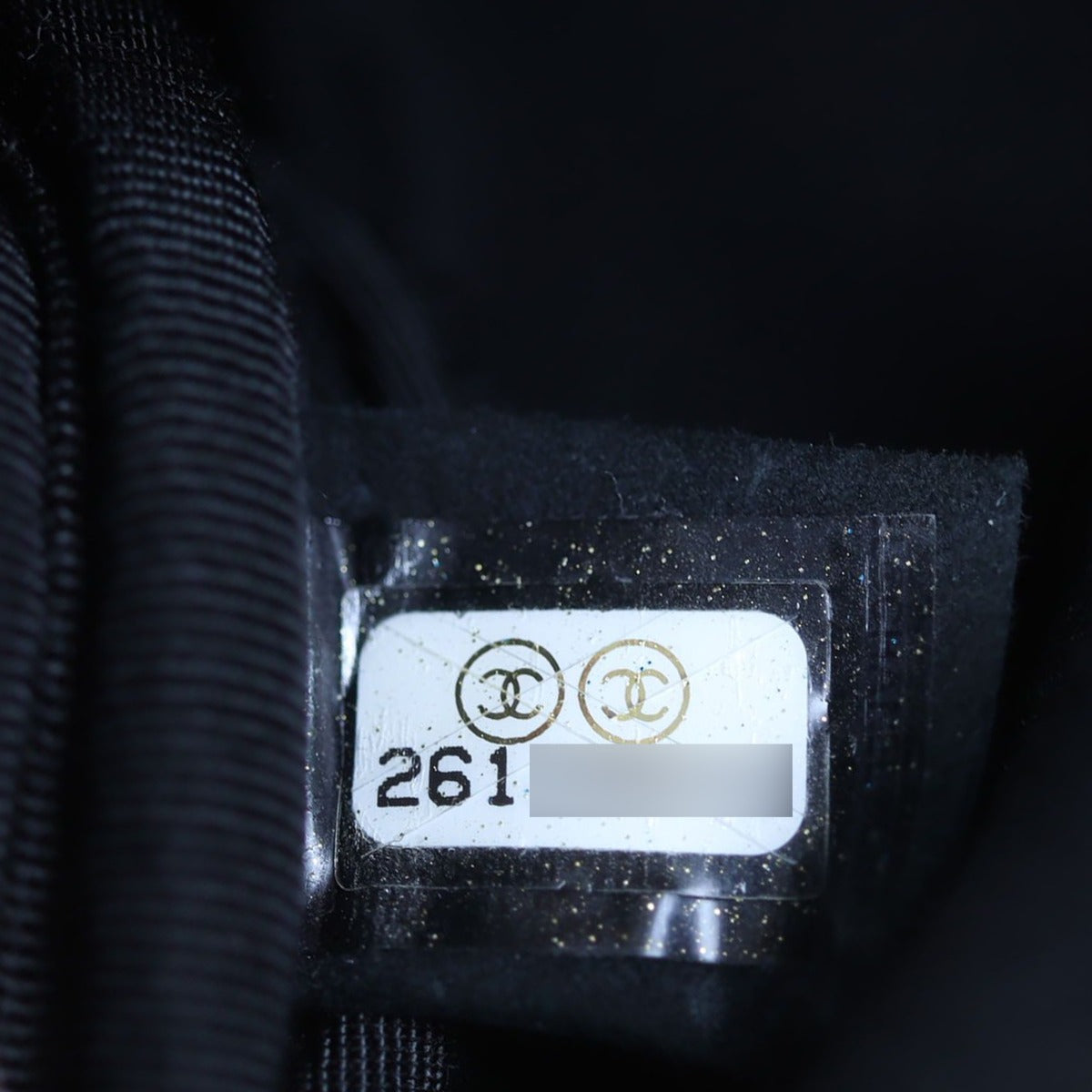 Chanel CC Buckle Camera Case