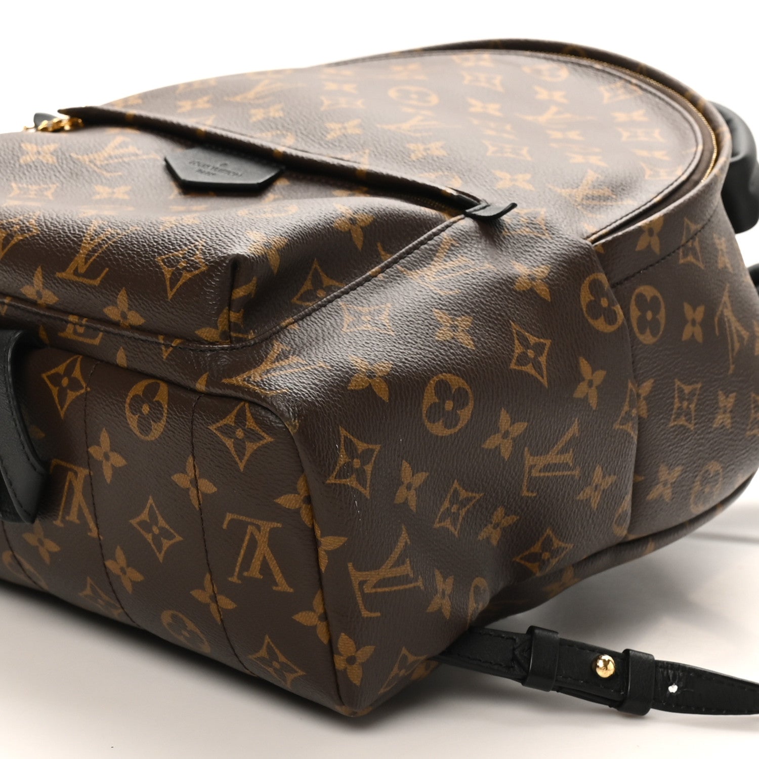 Monogram Palm Springs Backpack MM
