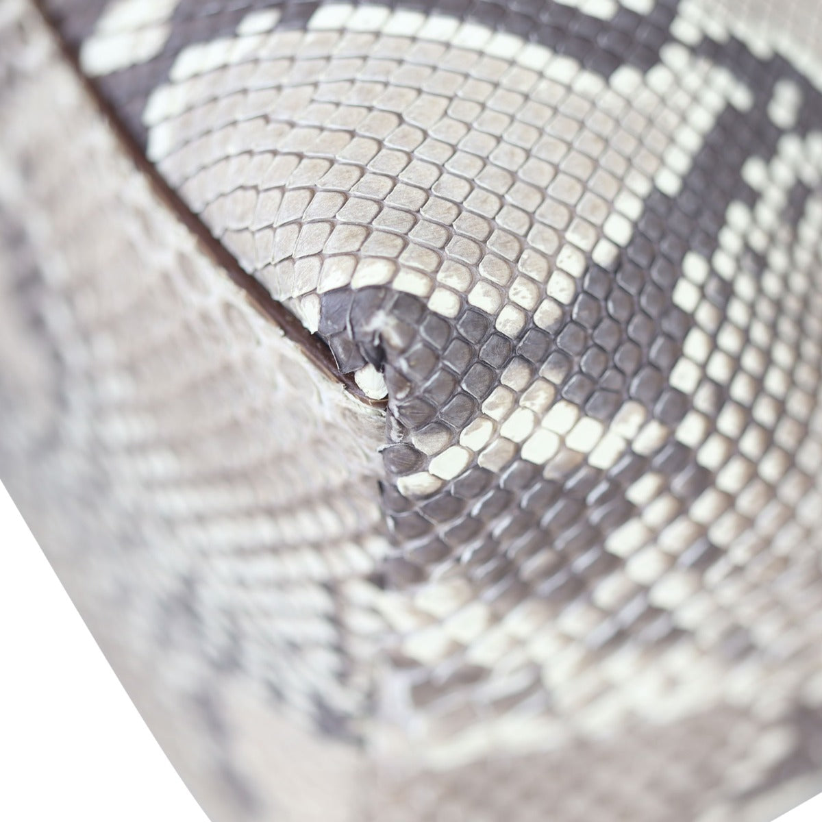 Prada Python Logo Hobo