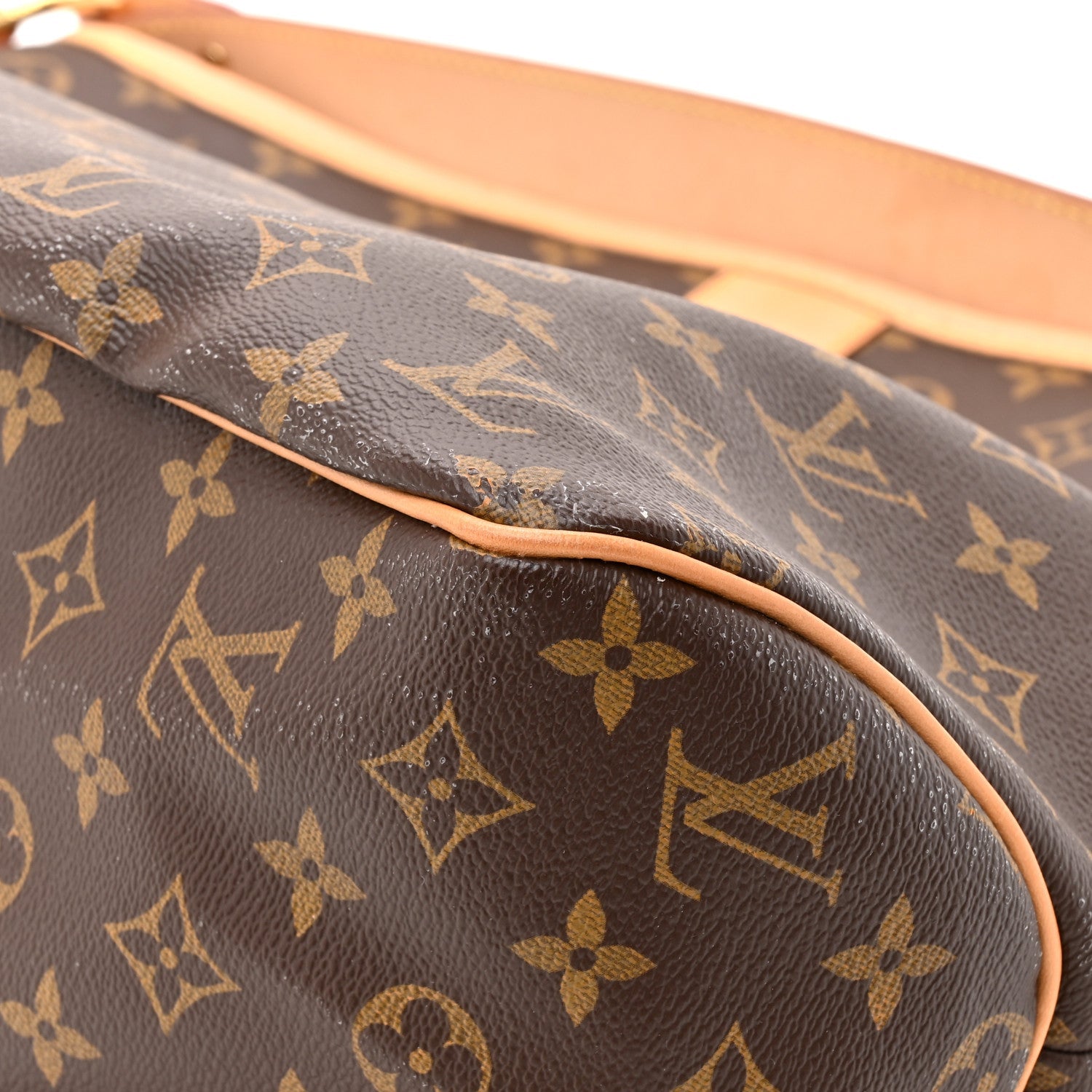 Monogram Delightful MM