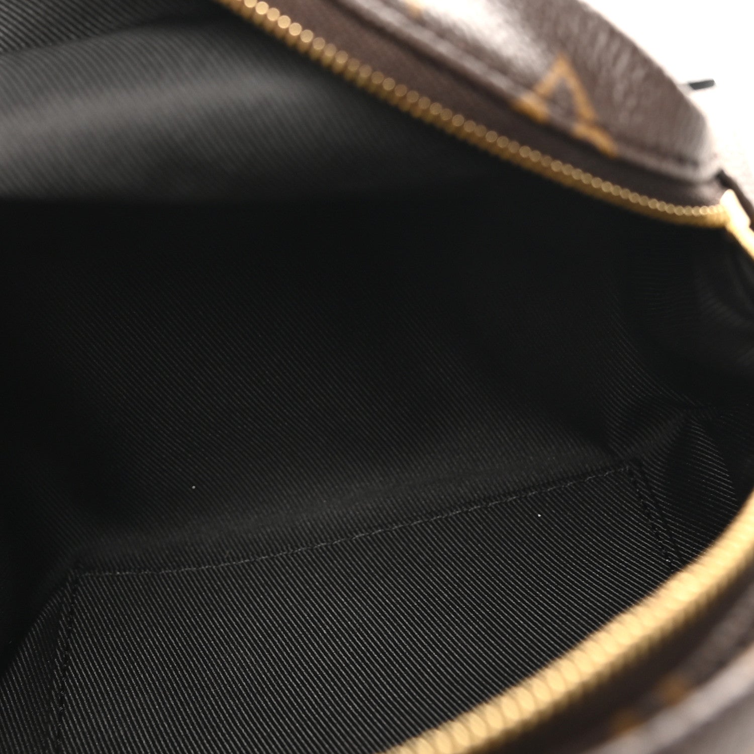 Monogram Palm Springs Backpack Mini