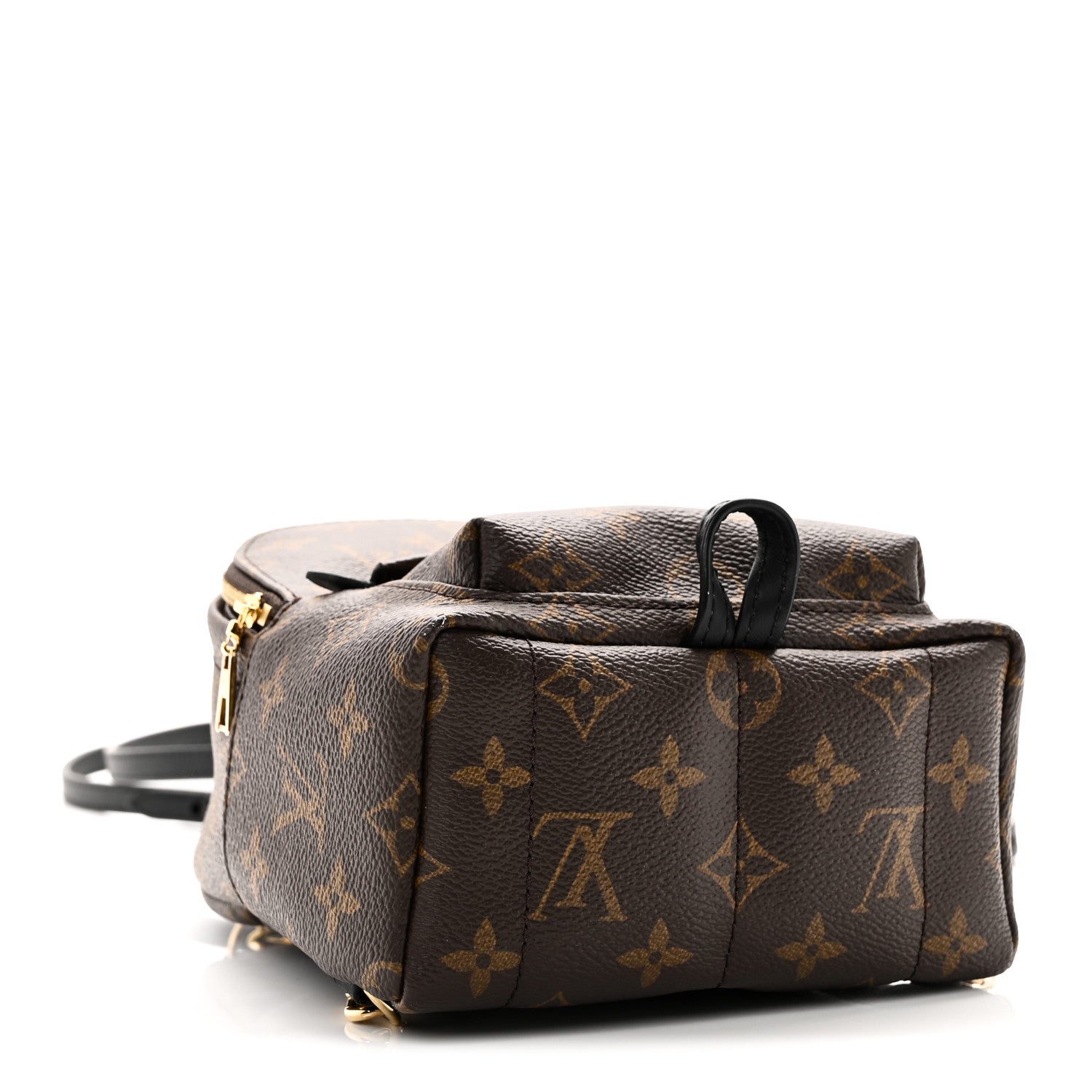 Monogram Palm Springs Backpack Mini