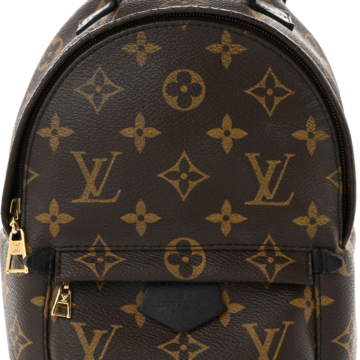 Monogram Palm Springs Backpack Mini