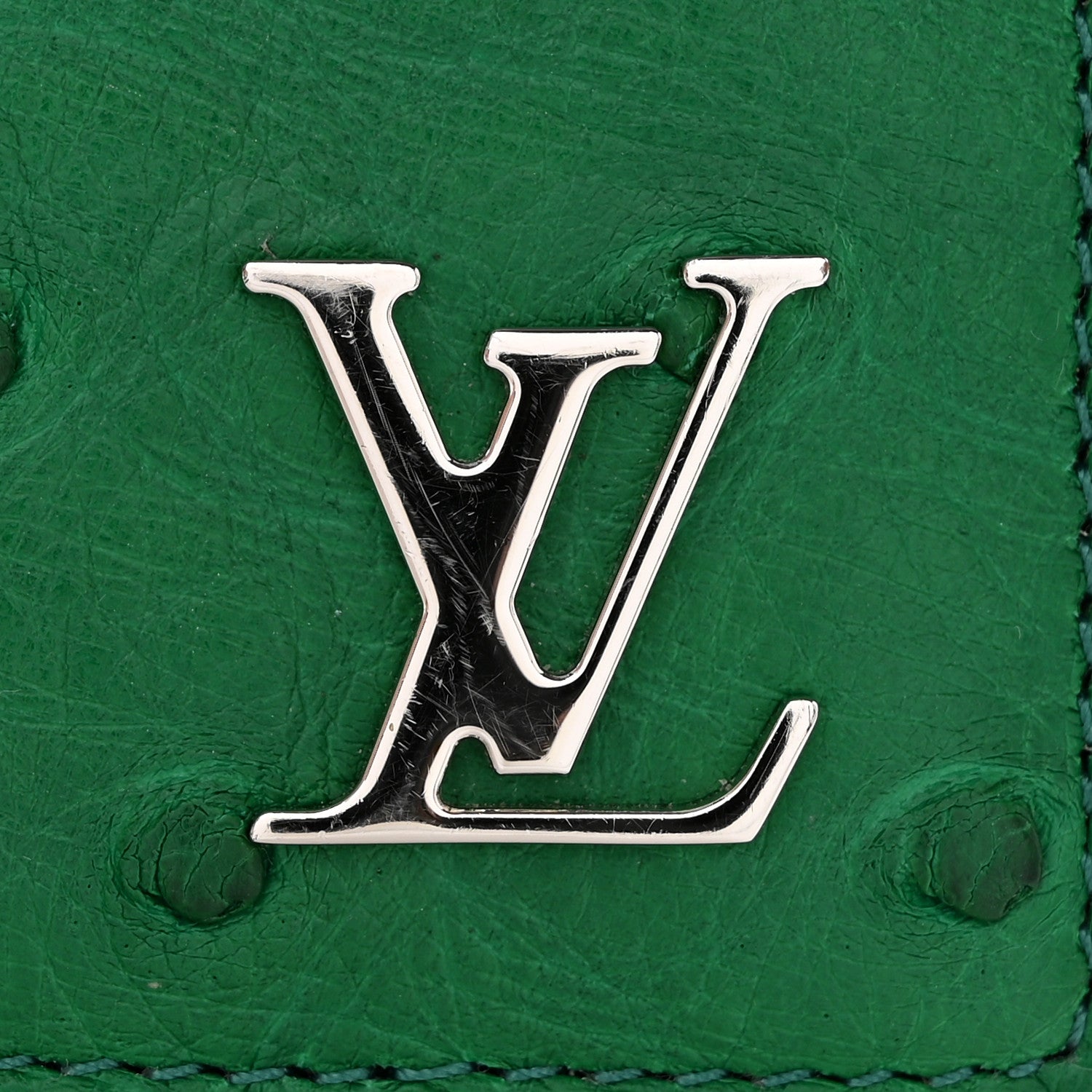 Ostrich Pocket Organizer Vert