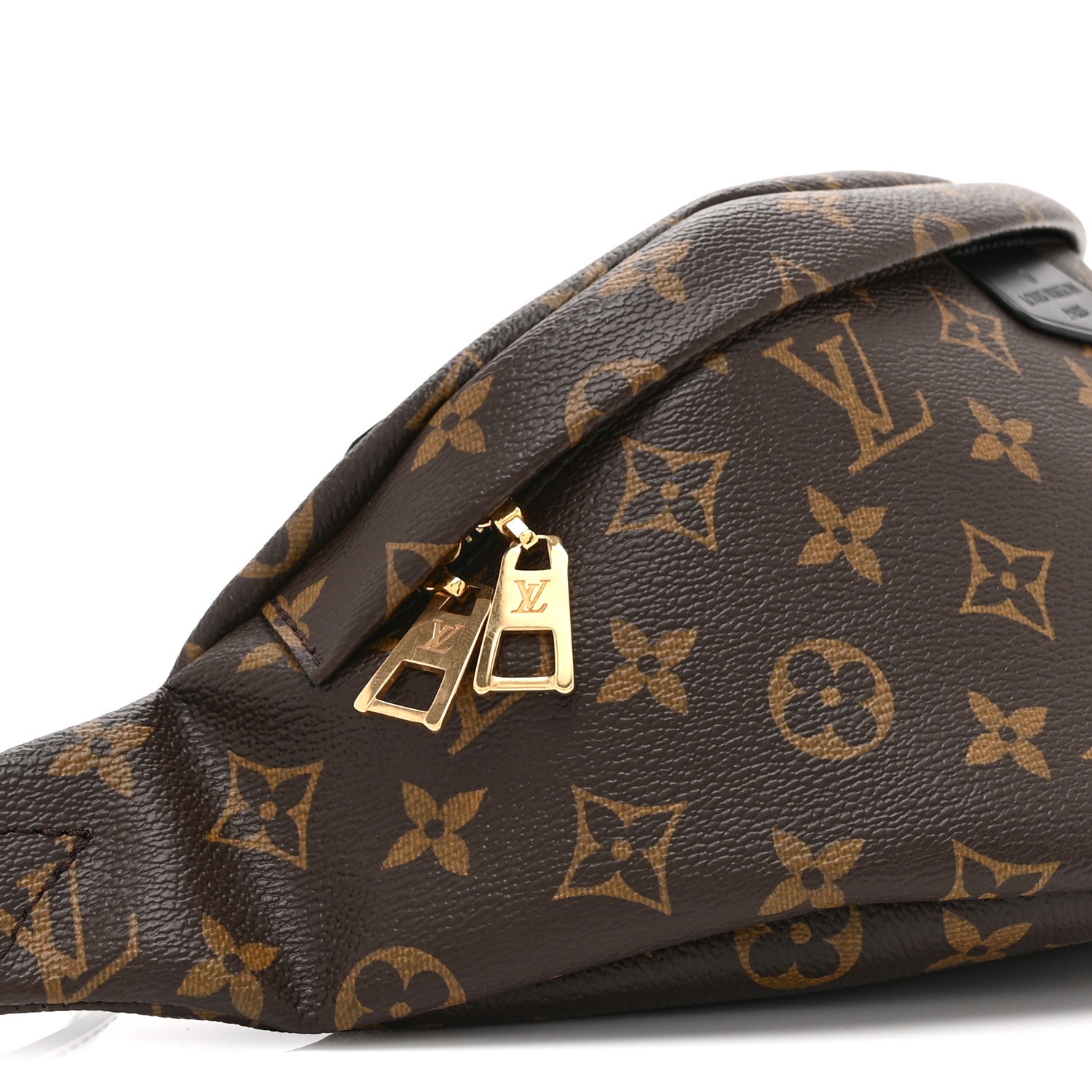 Monogram My LV World Tour Bumbag