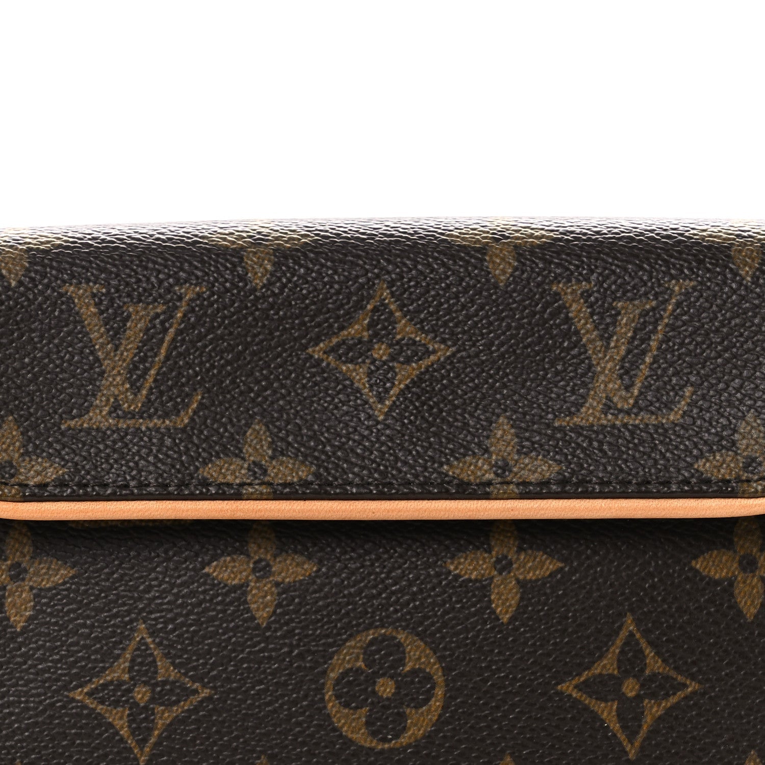 Monogram Pochette Florentine XS
