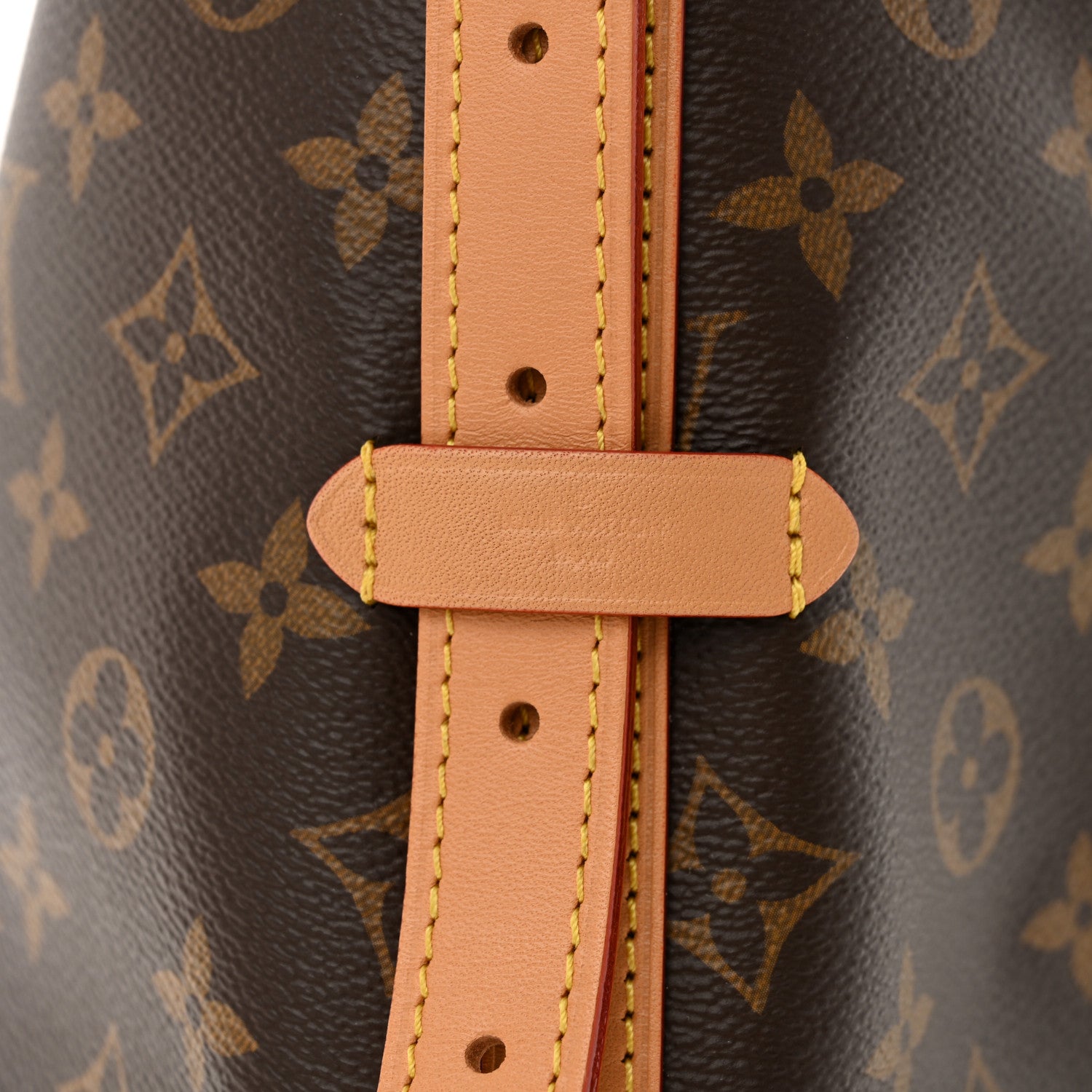 Monogram CarryAll MM