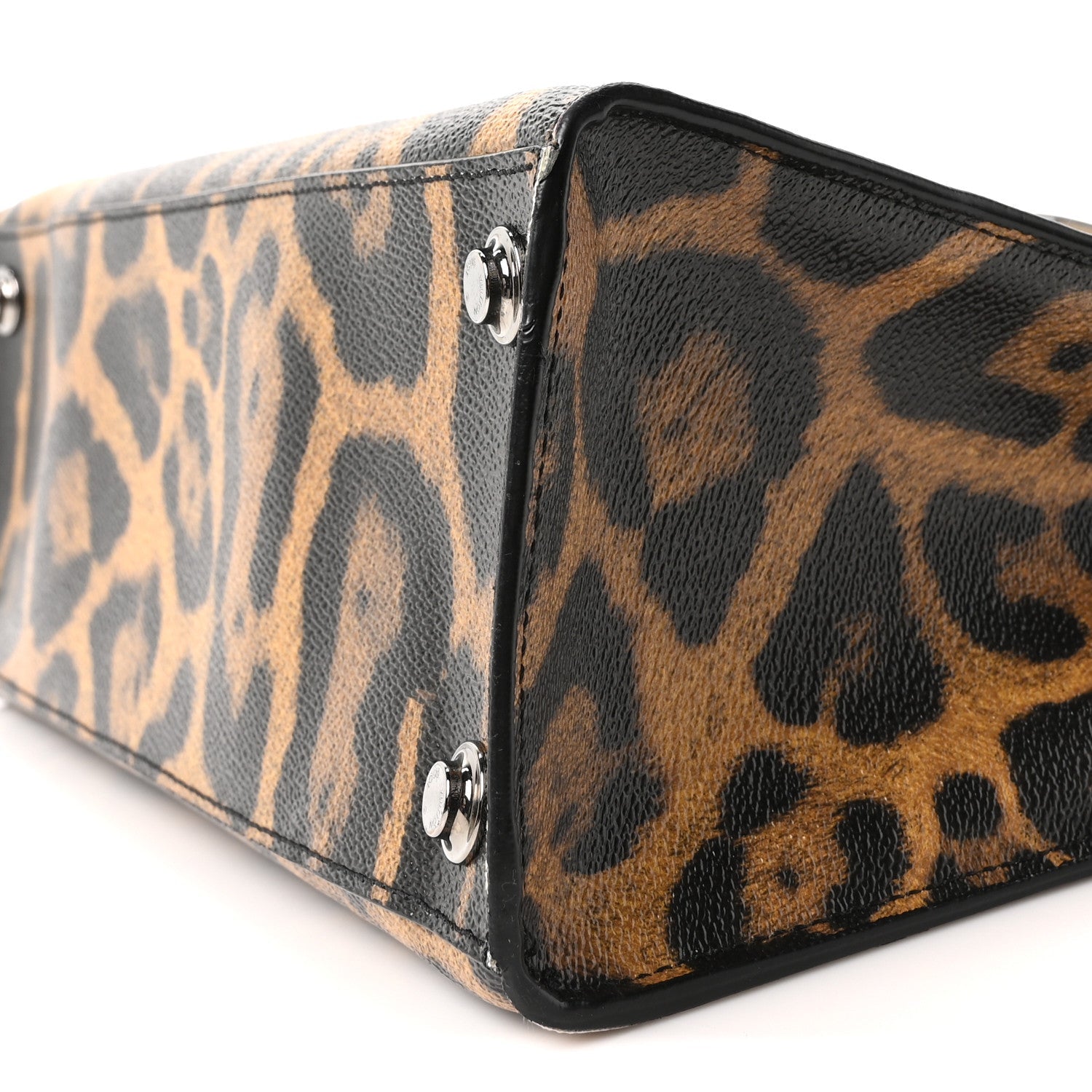 Canvas Calfskin Wild Animal Print City Steamer EW Marron