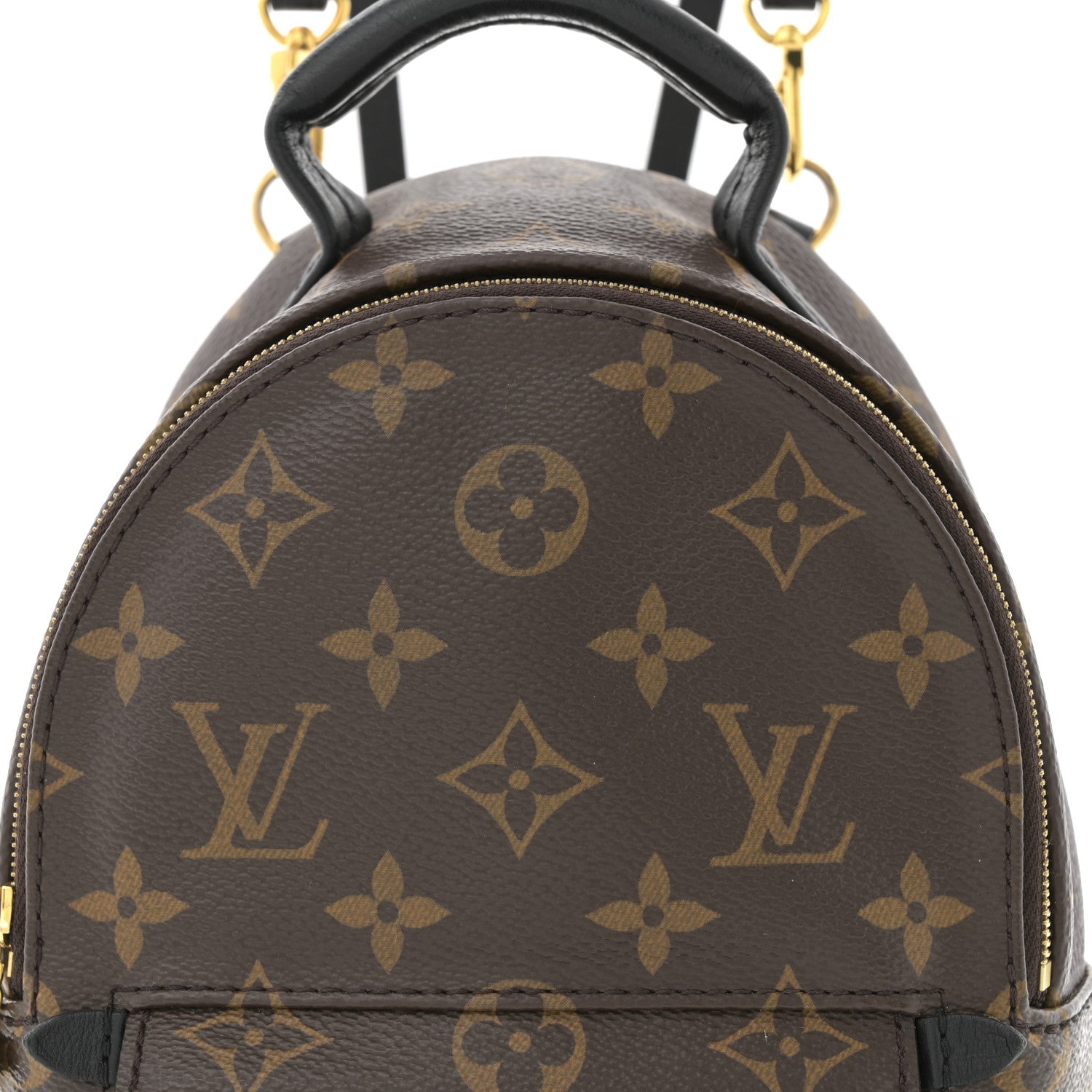 Monogram Palm Springs Backpack Mini